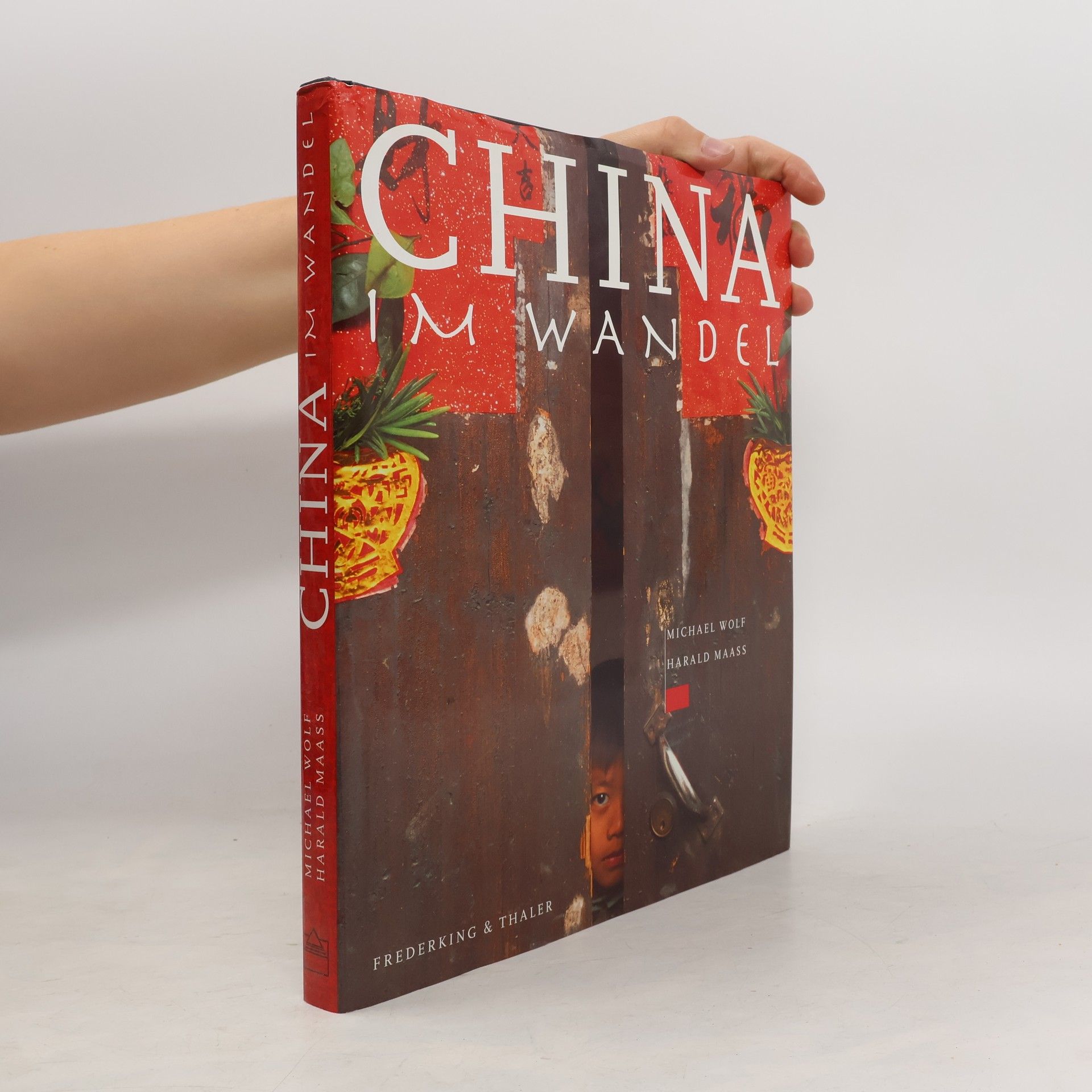Wolf-Michael Wendler China im Wandel