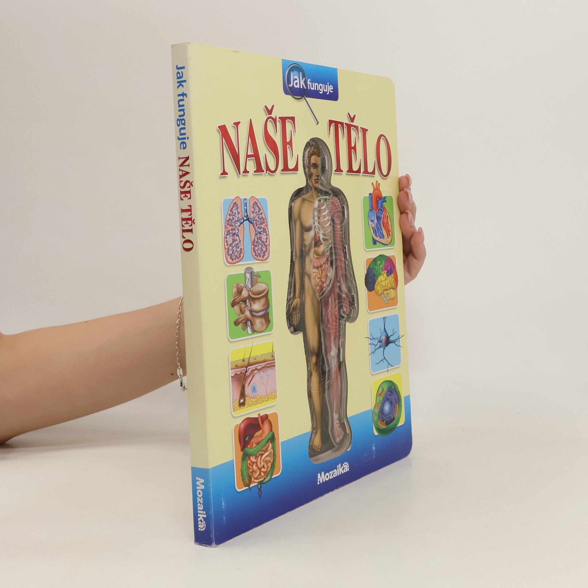 Jak funguje naše tělo