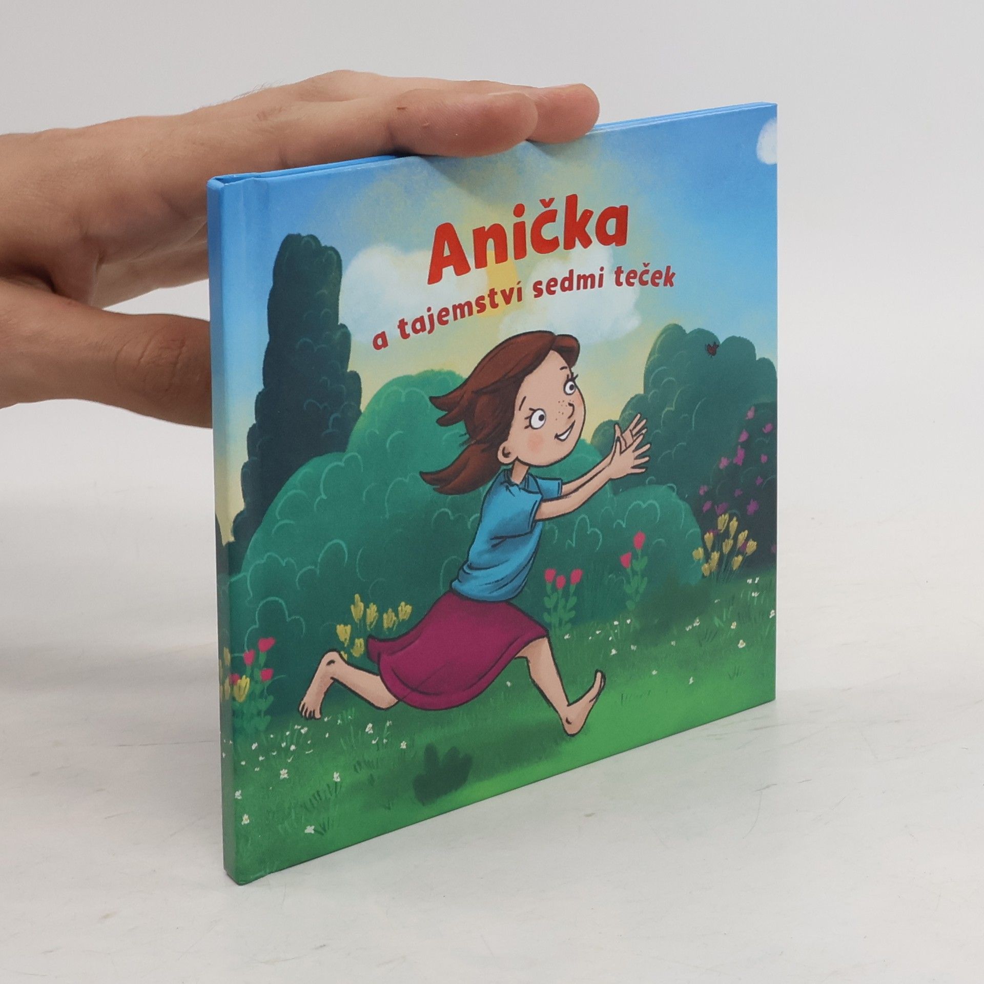 Kateřina Sadílková Anička a tajemství sedmi teček