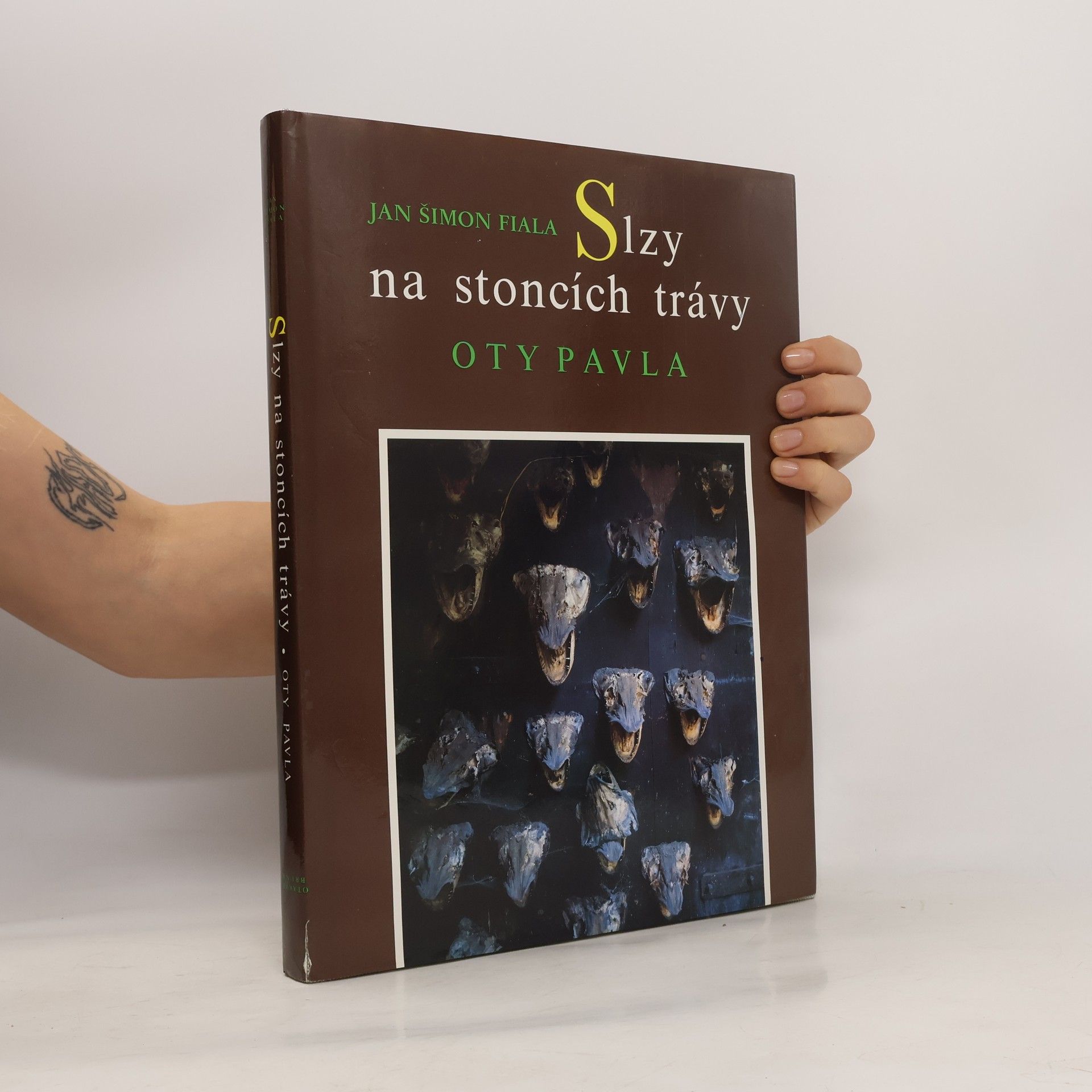 Jan Šimon Fiala Slzy na stoncích trávy Oty Pavla