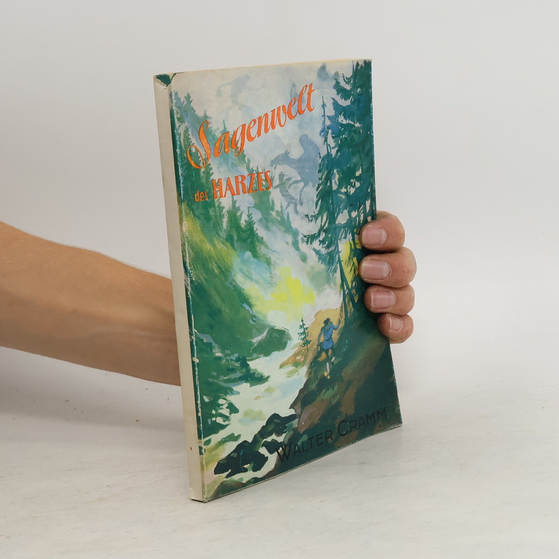 Autores varios Sagenwelt des Harzes