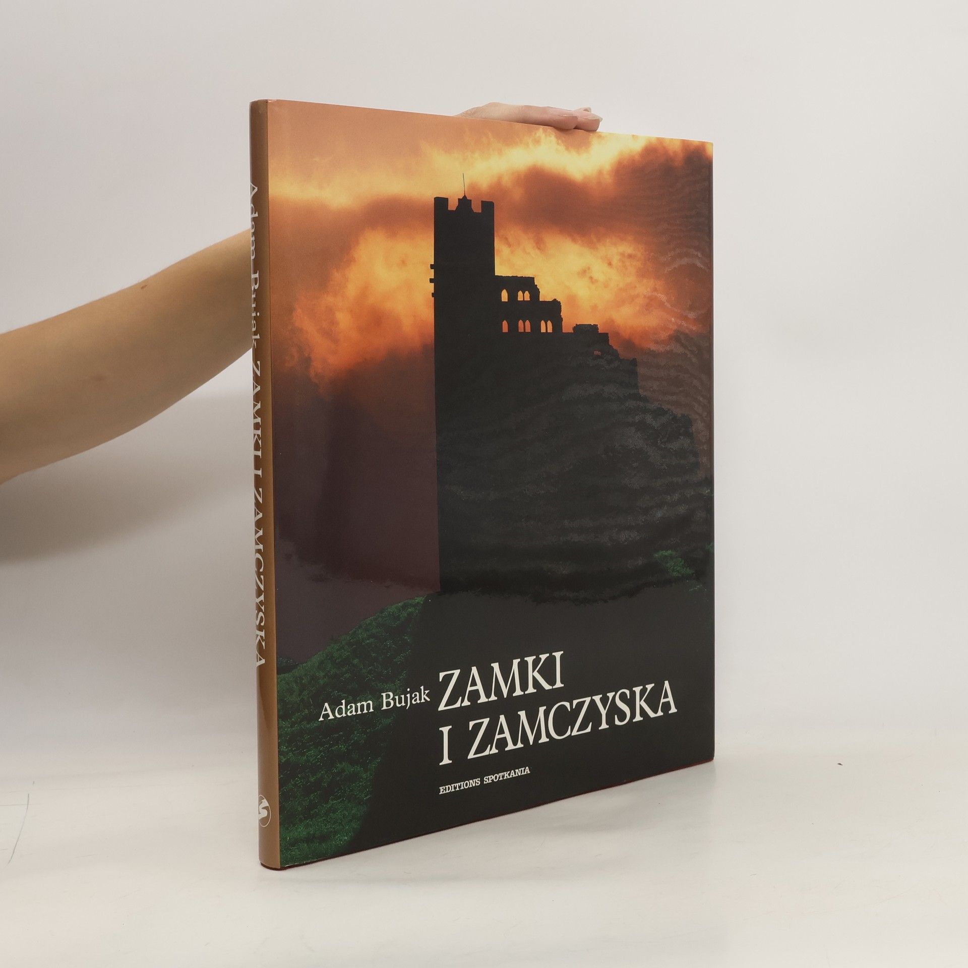 Adam Bujak Zamki i zamczyska