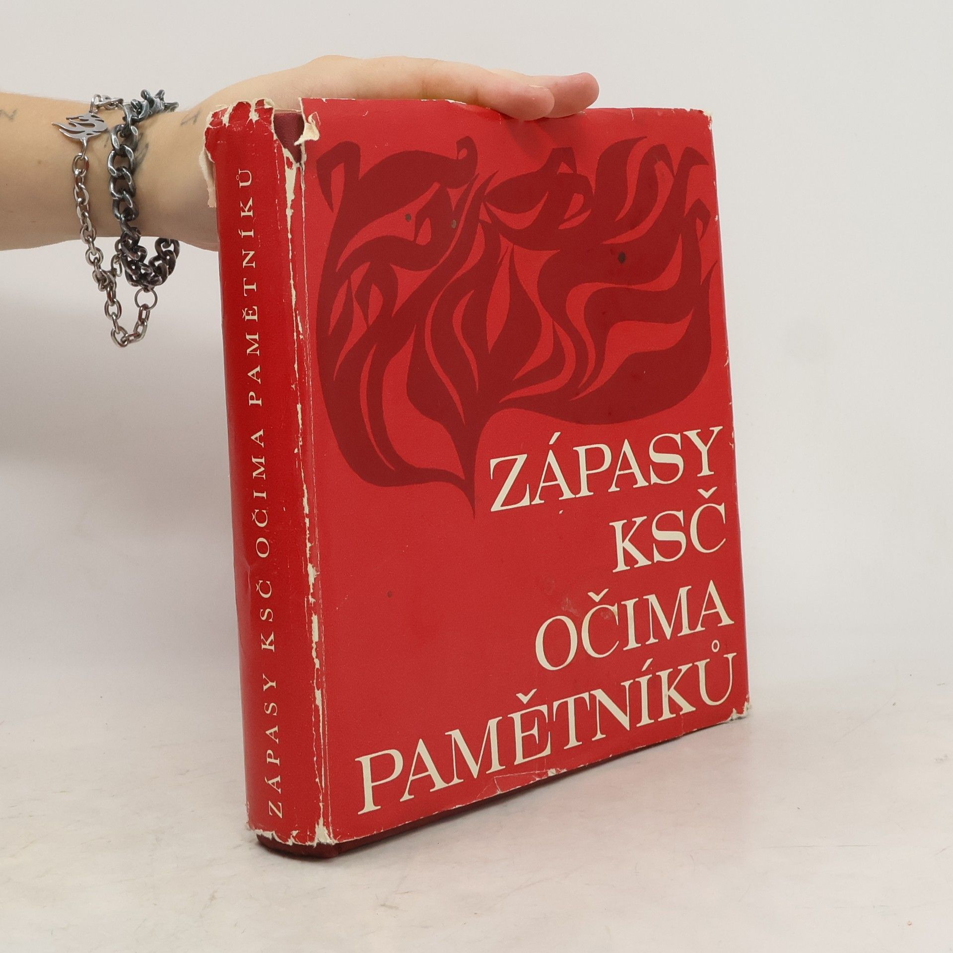 Věra Holá Zápasy KSČ očima pamětníků