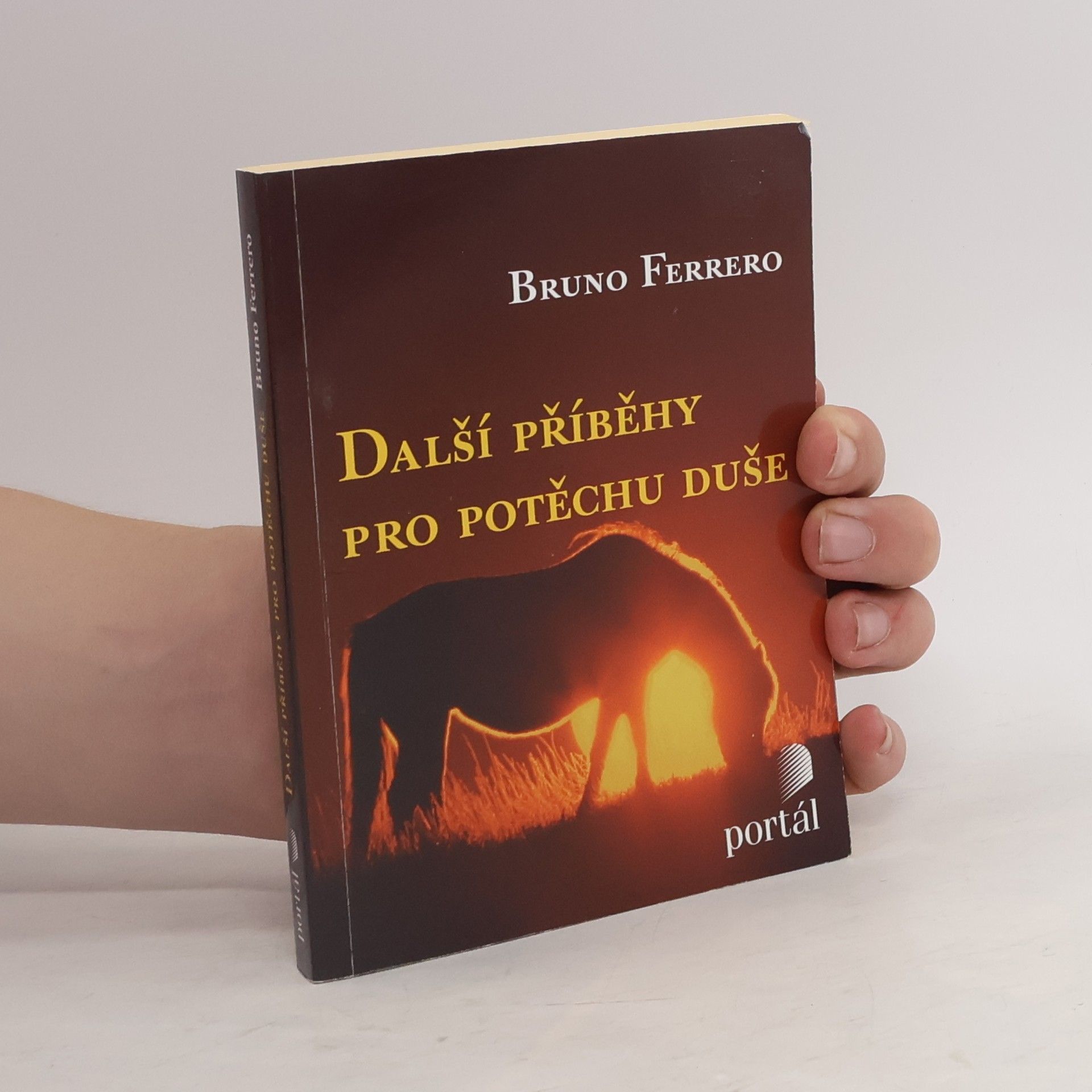 Bruno Ferrero Další příběhy pro potěchu duše