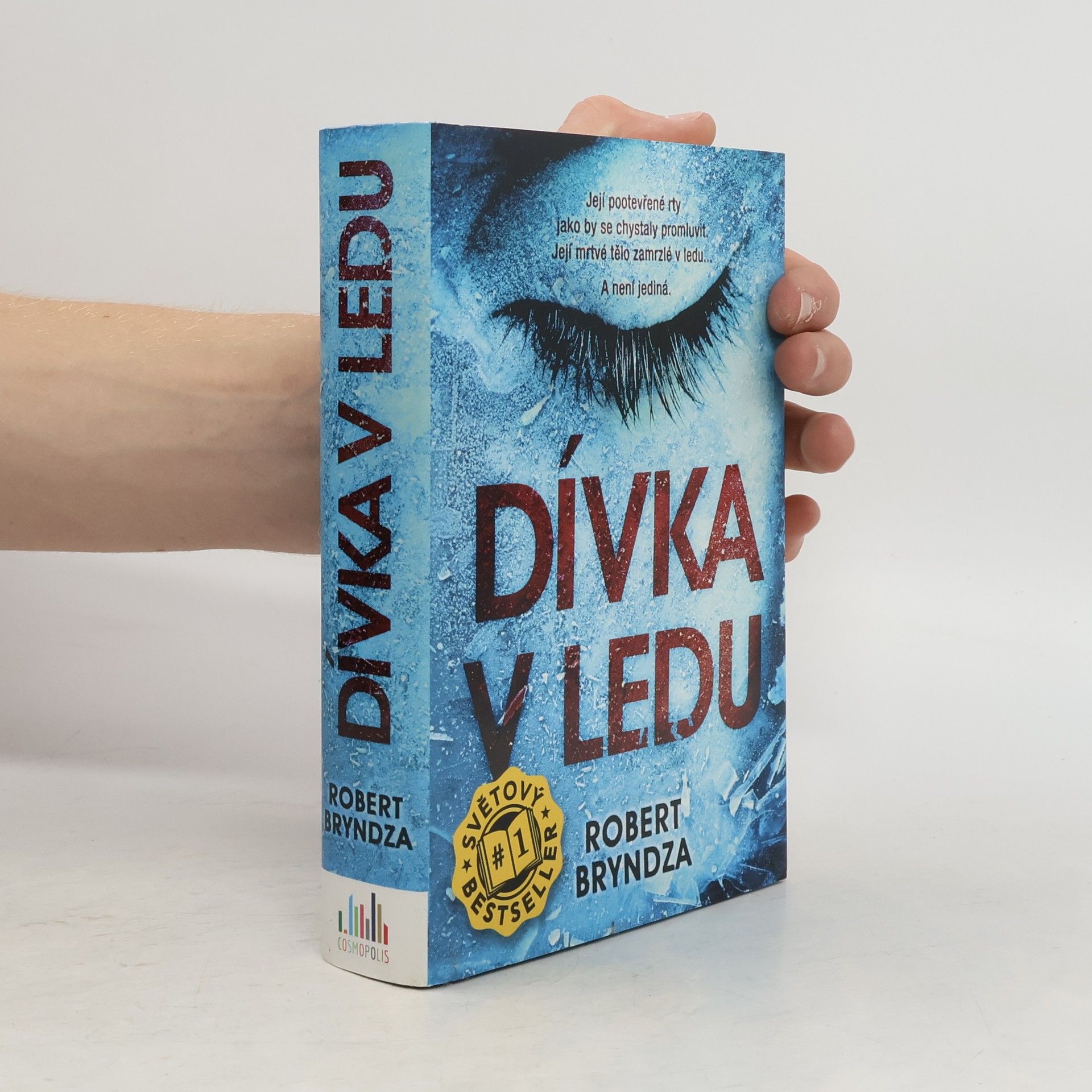 Robert Bryndza Dívka v ledu