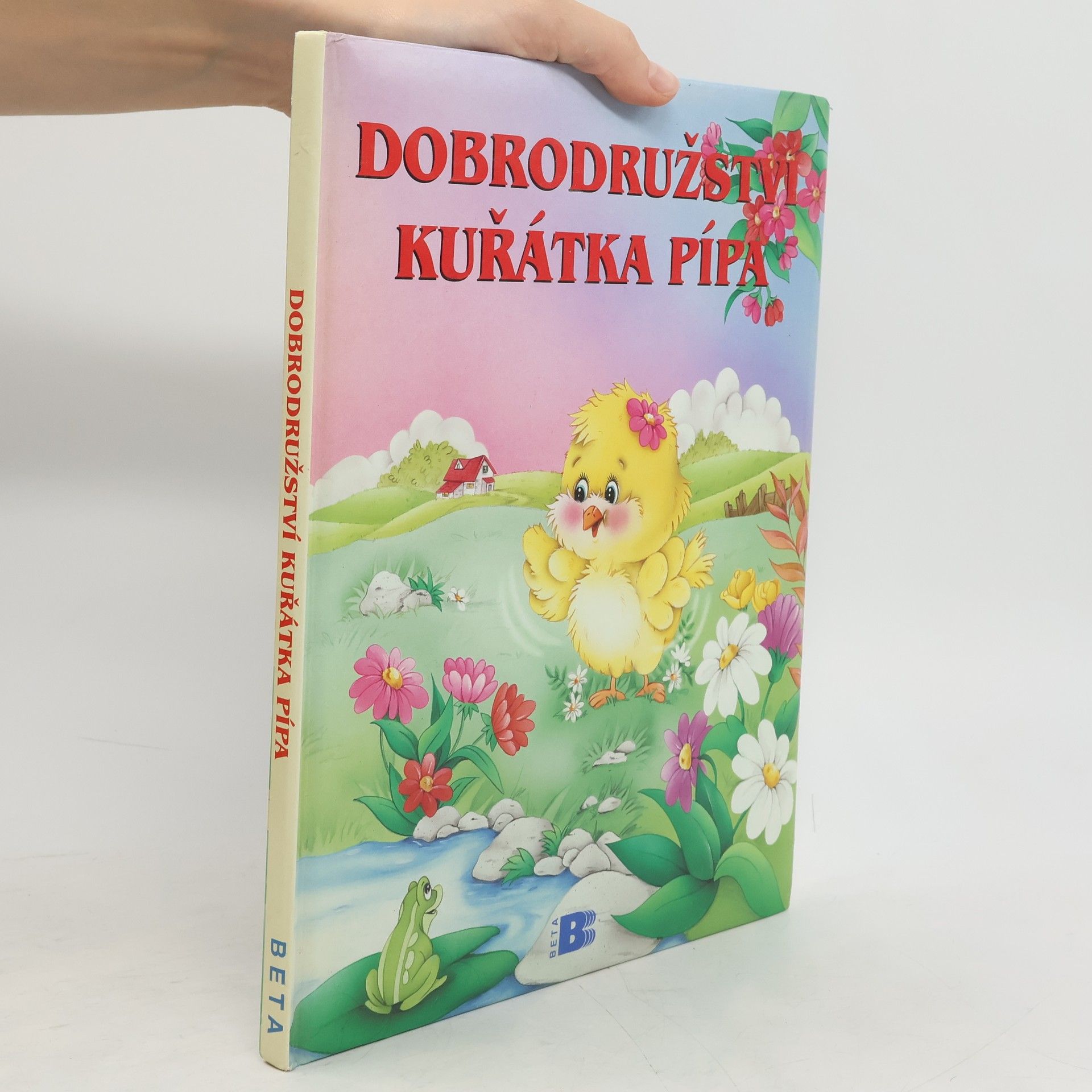 Maggiorina Castoldi Dobrodružství kuřátka Pípa
