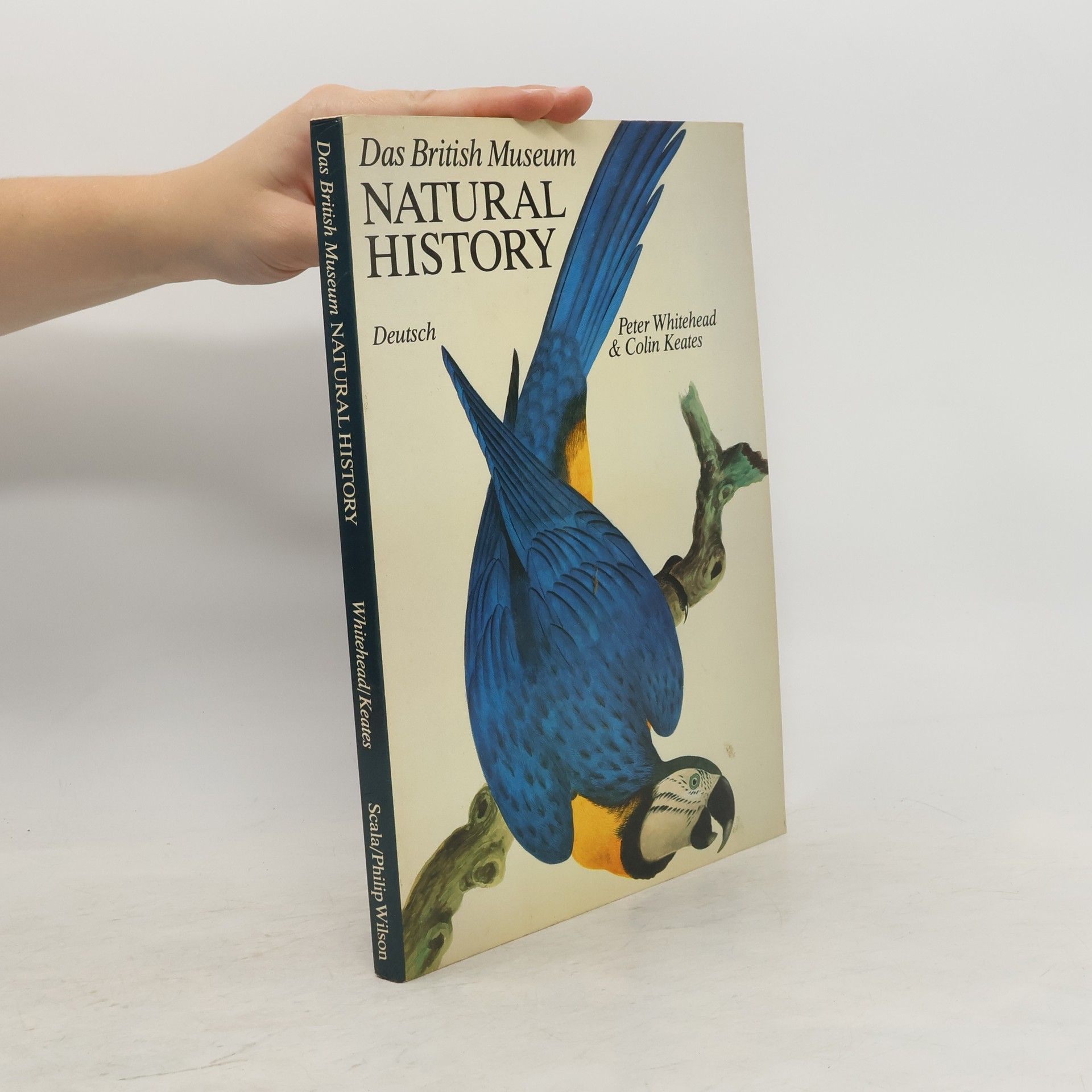 Peter Whitehead Das British Museum Natural History