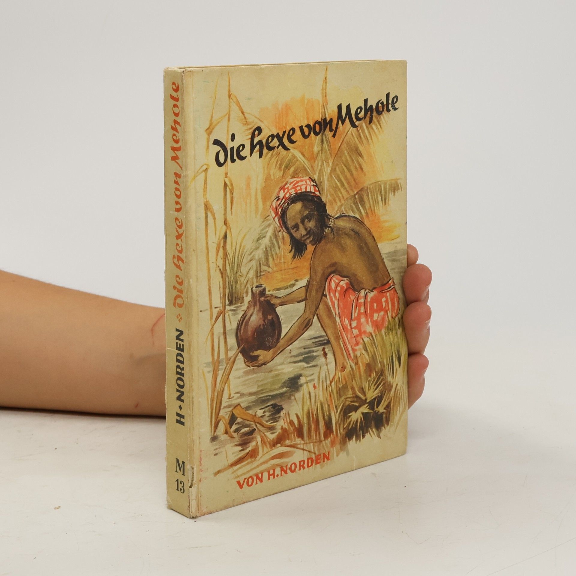 Heinrich Norden Die Hexe von Mehole