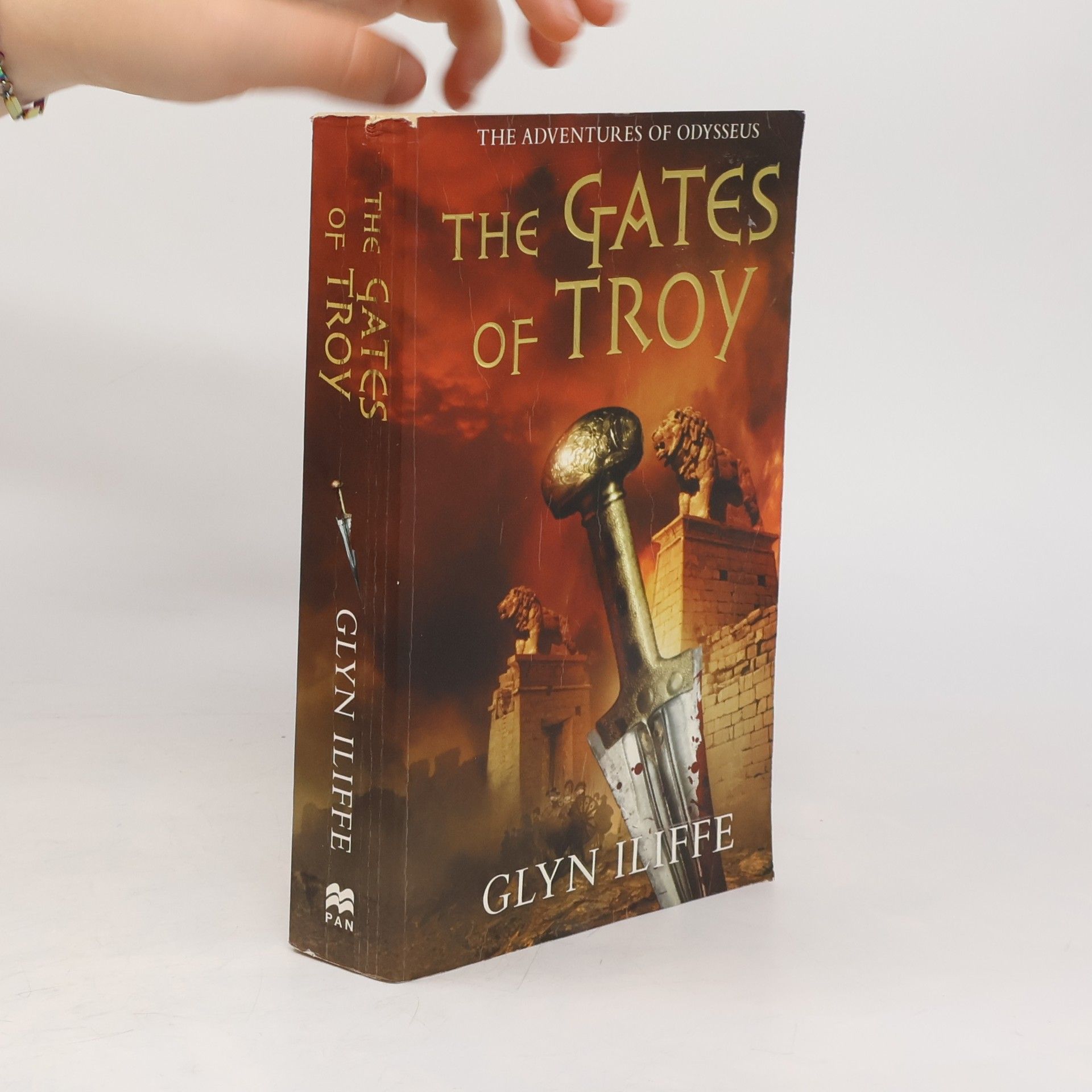 Glyn Iliffe The gates of Troy