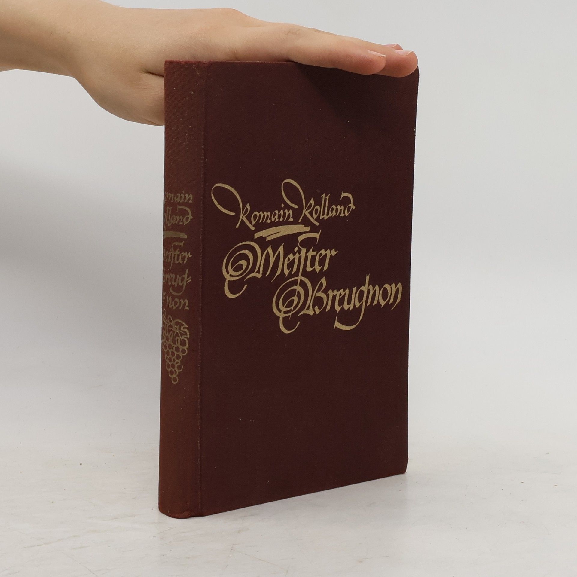 Romain Rolland Meister Breugnon