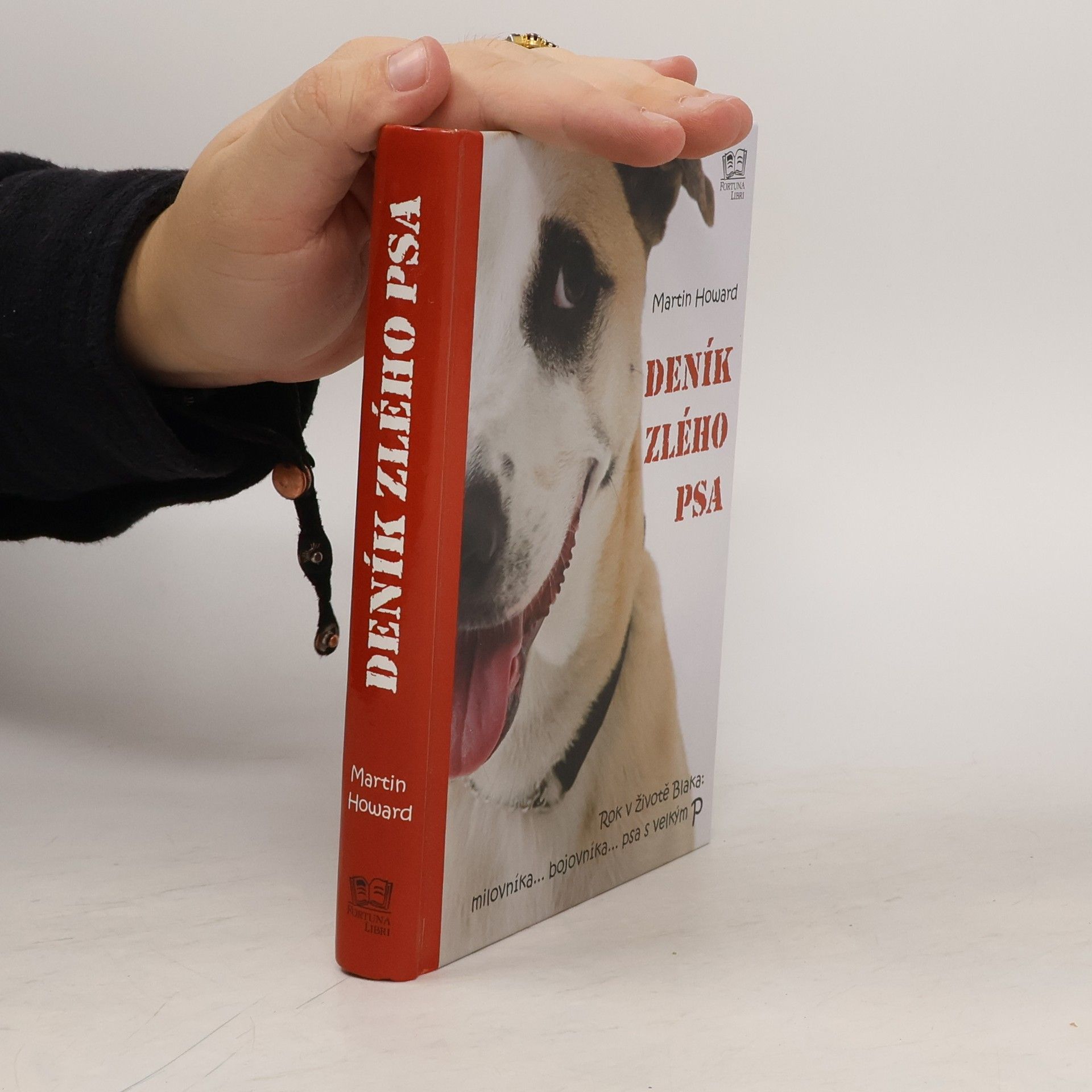 M. J. Martin J. Howard Deník zlého psa. Rok v životě Blaka: milovníka... bojovníka... psa s velkým P