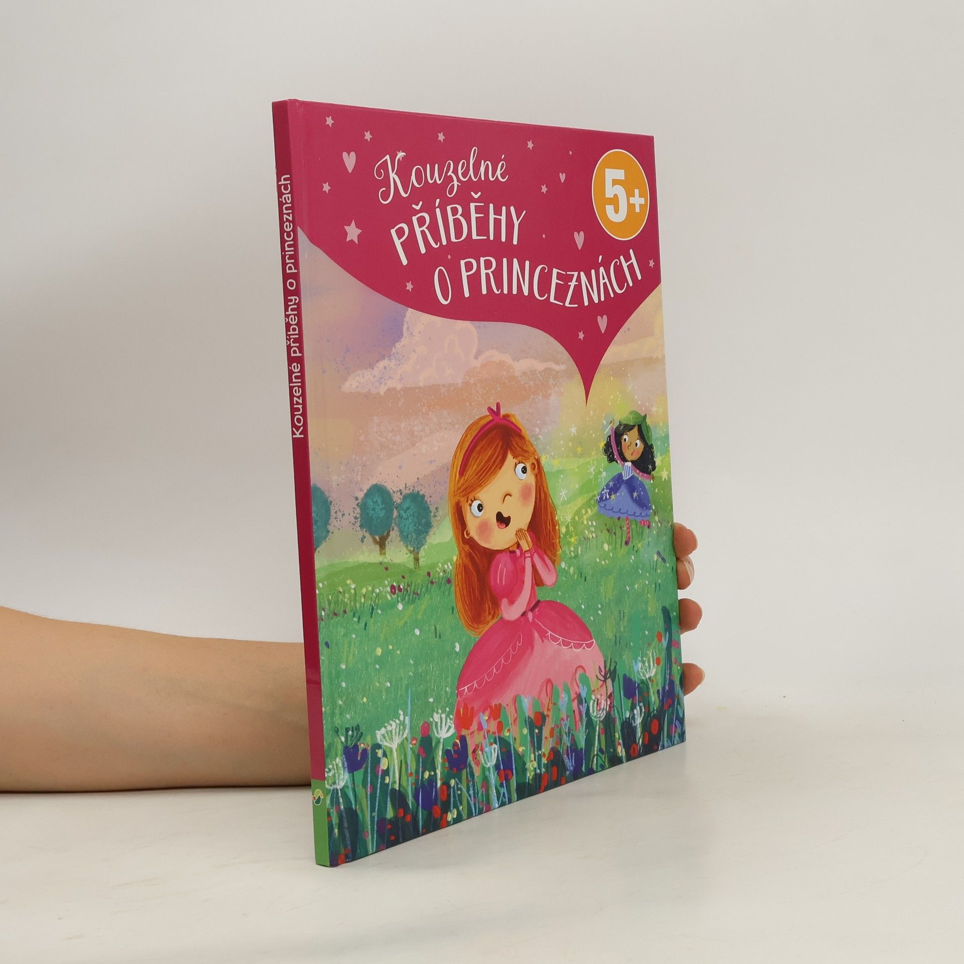 Luise Holthausen Kouzelné příběhy o princeznách