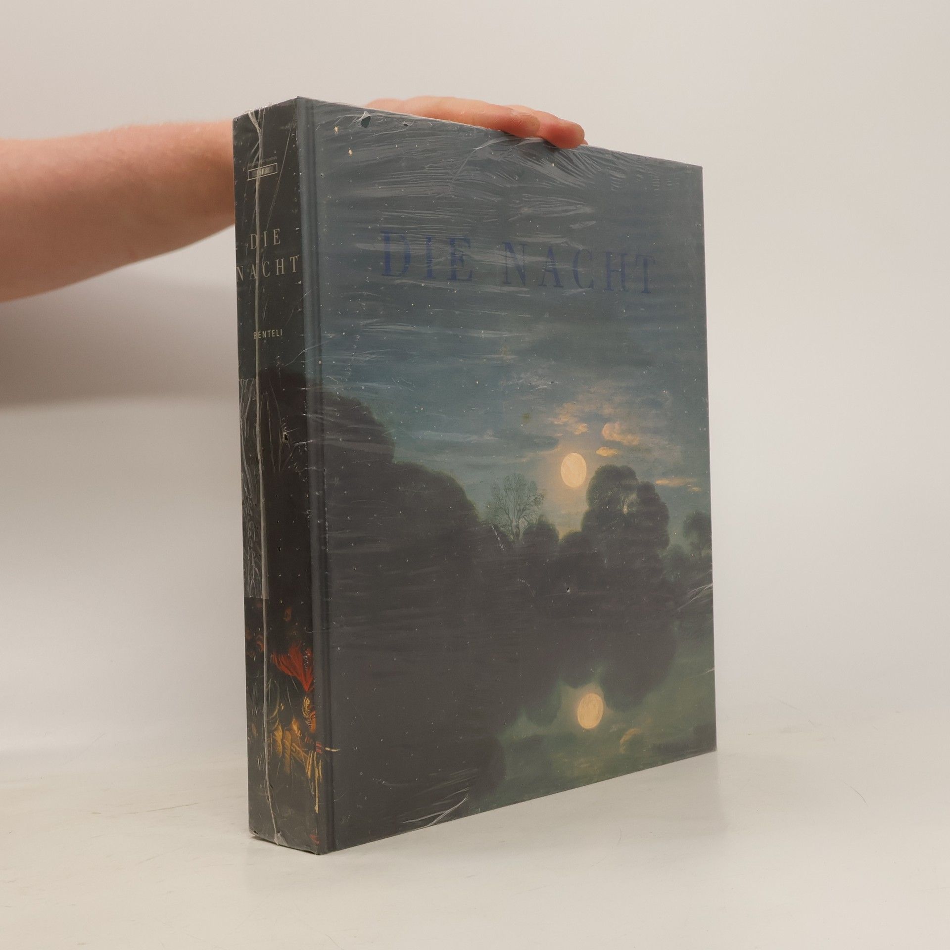 Stephanie Rosenthal Die Nacht