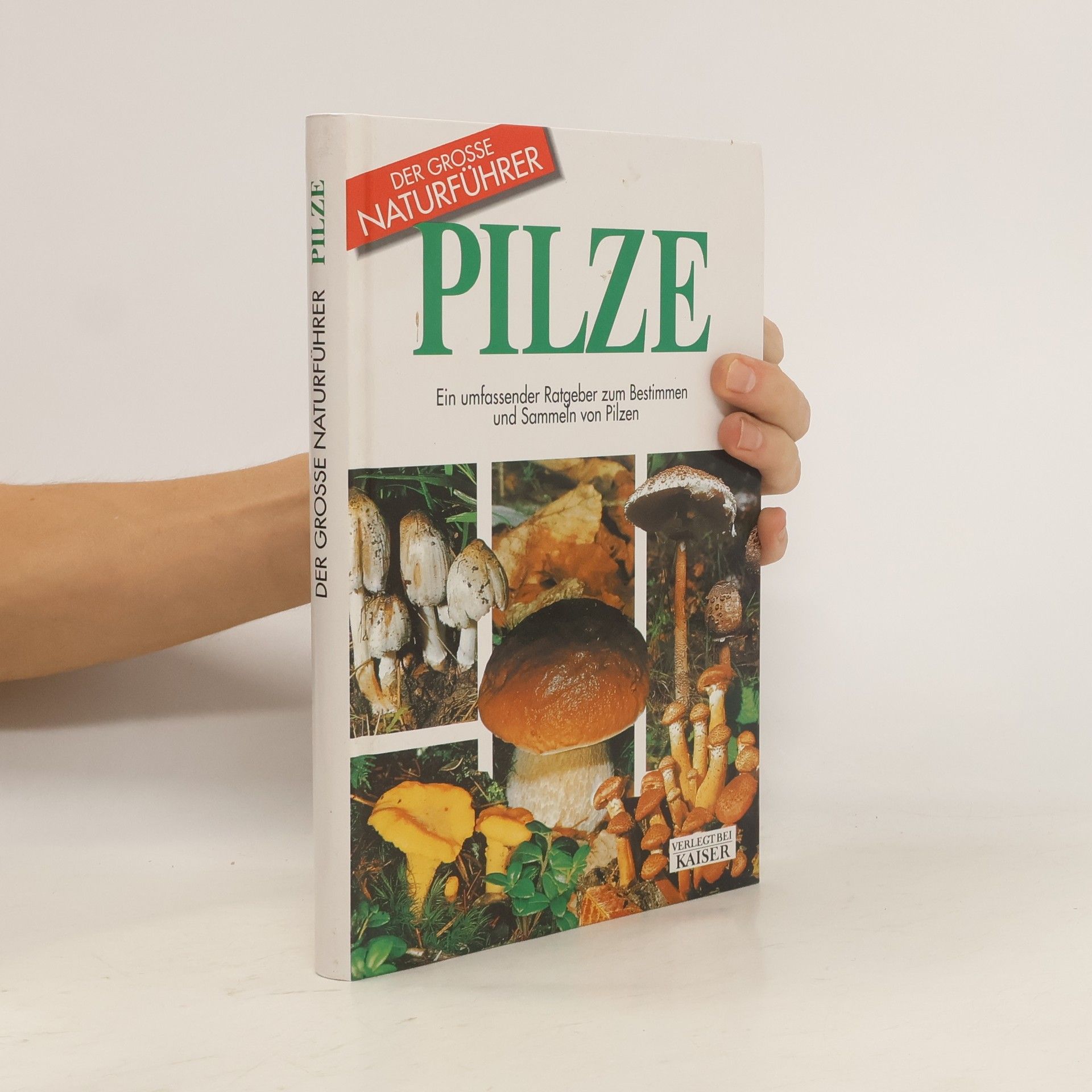 Autorenkollektiv Pilze. Ein umfassender Ratgeber zum Bestimmen und Sammeln von Pilzen.