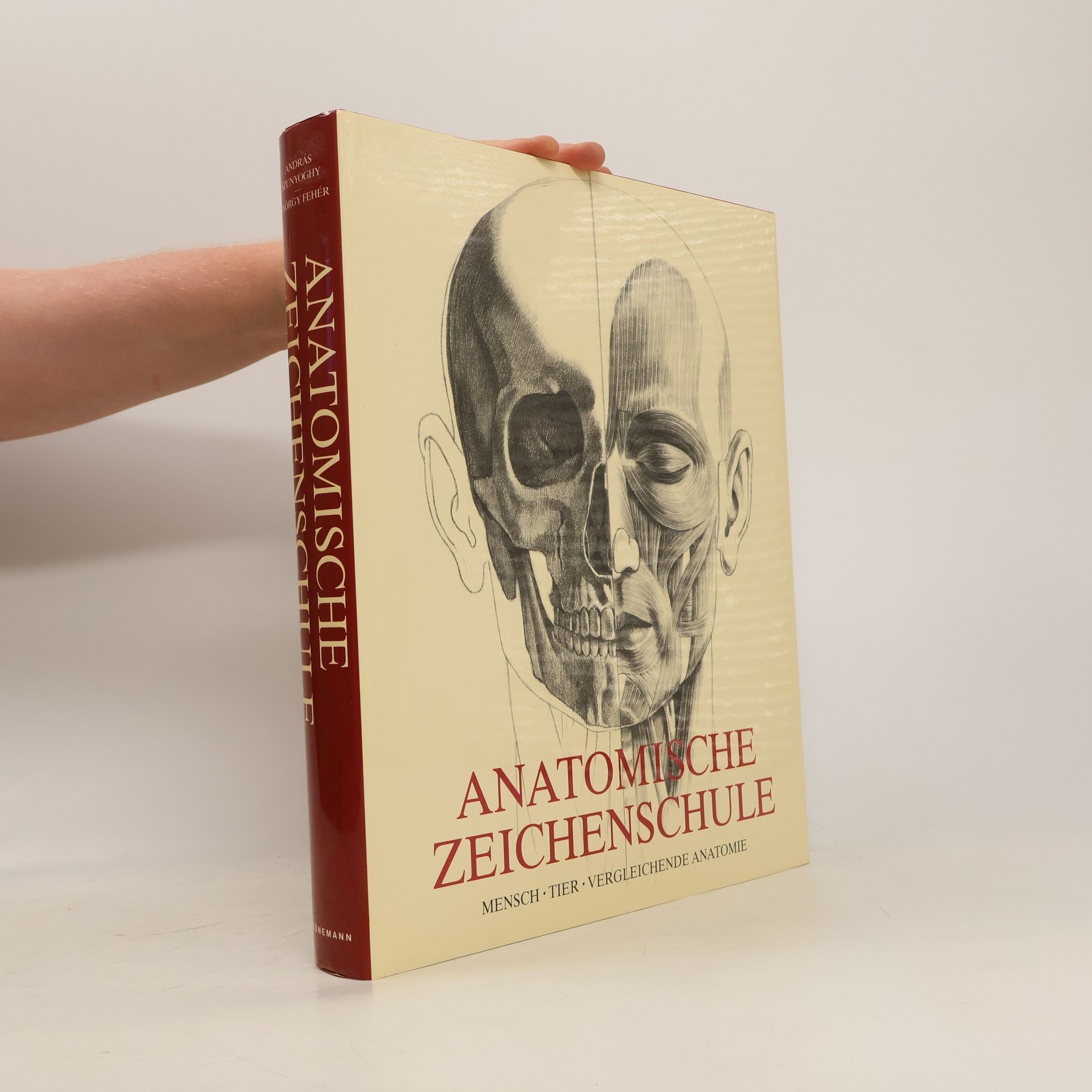 András Szunyoghy Anatomische Zeichenschule