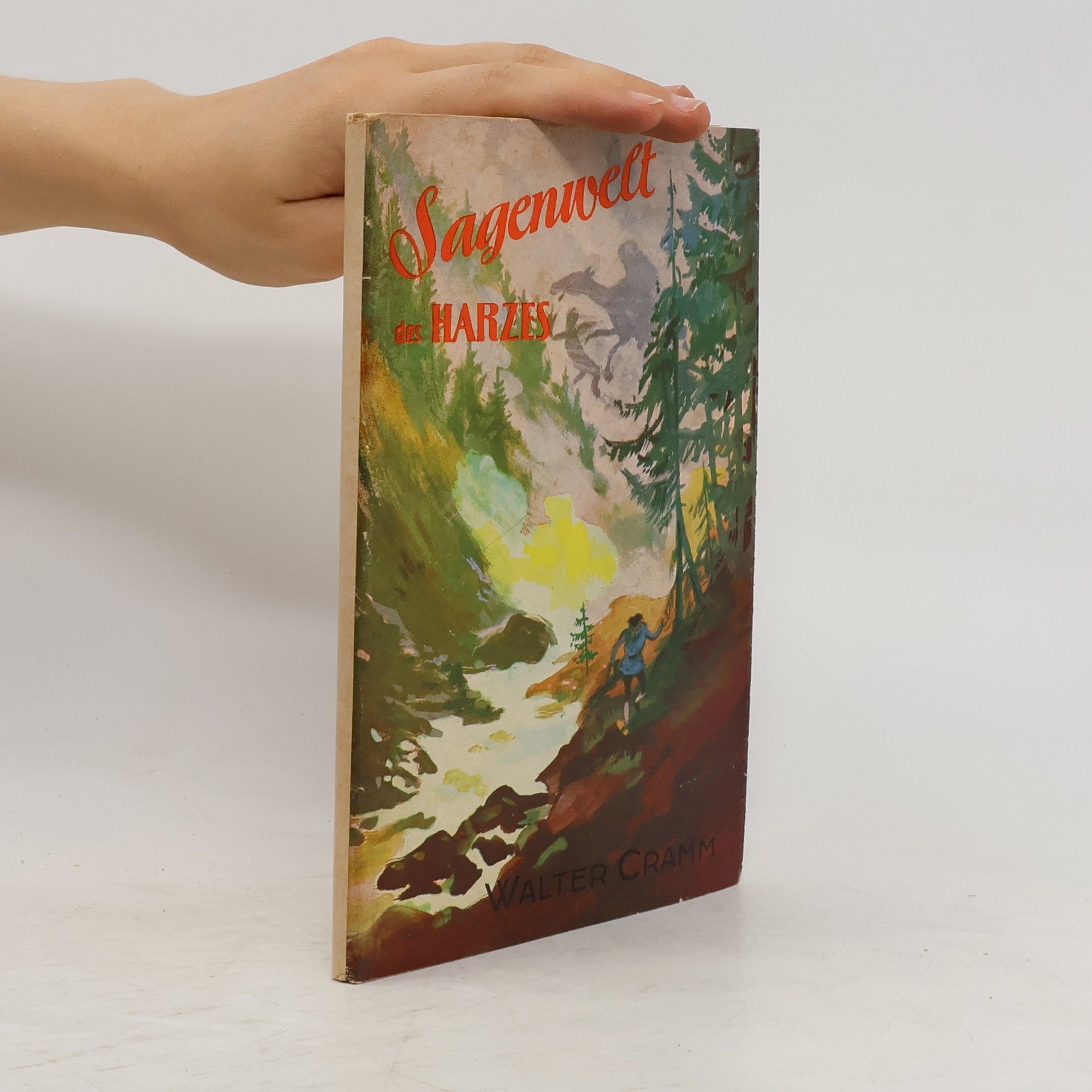 Collectif d'auteurs Sagenwelt des Harzes