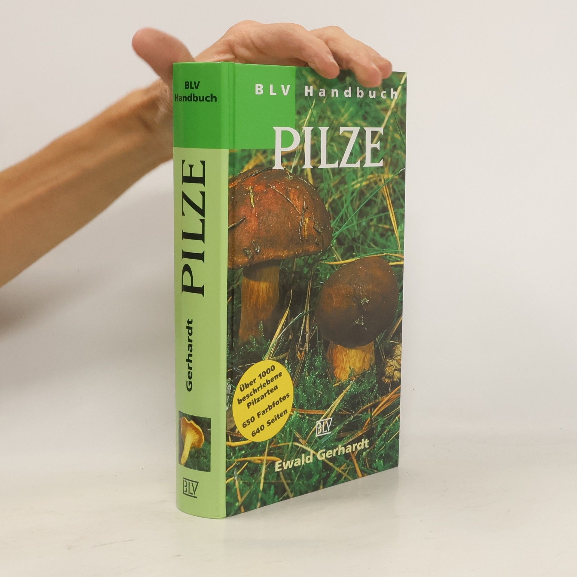 Ewald Gerhardt BLV-Handbuch Pilze