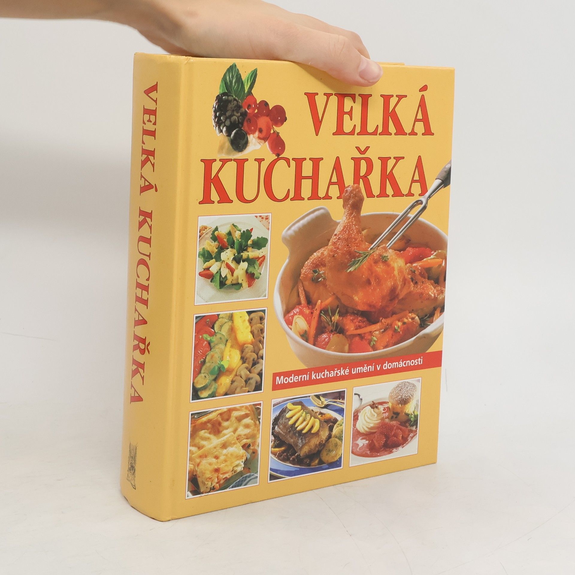 Autorenkollektiv Velká kuchařka