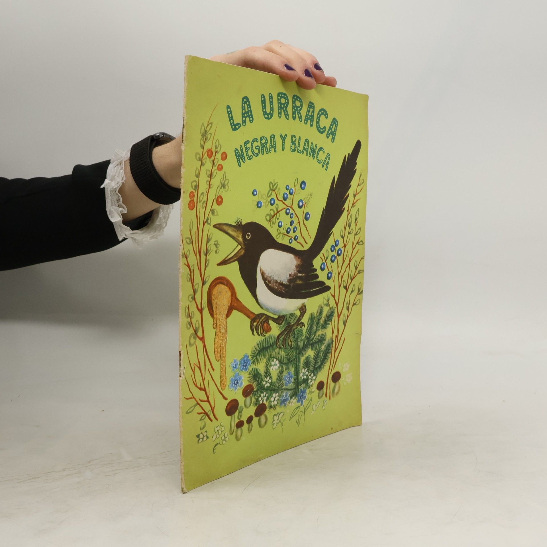 J. López Ganivet La urraca negra y blanca