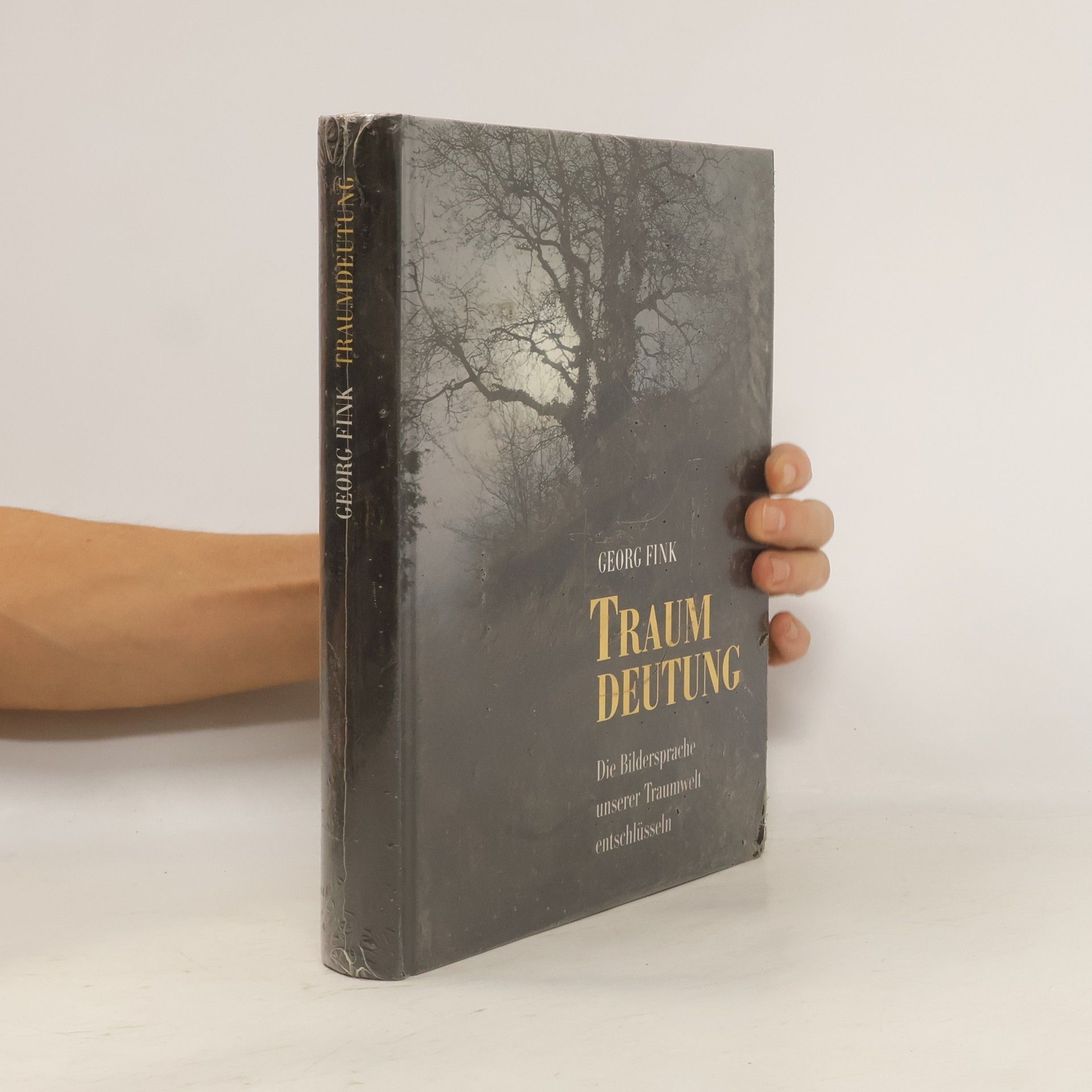 Georg Fink Traumdeutung