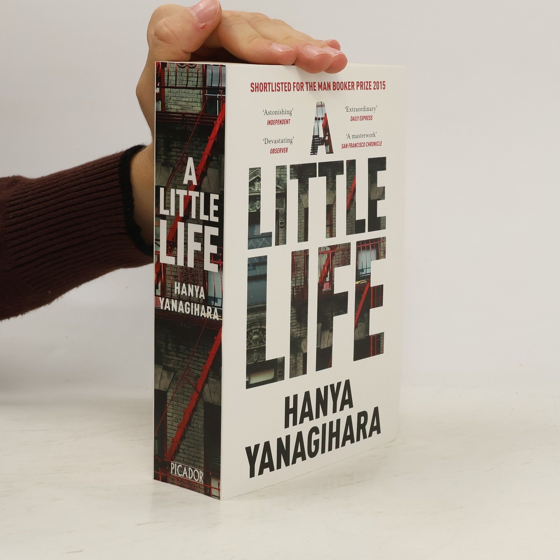 Hanya Yanagihara A Little Life