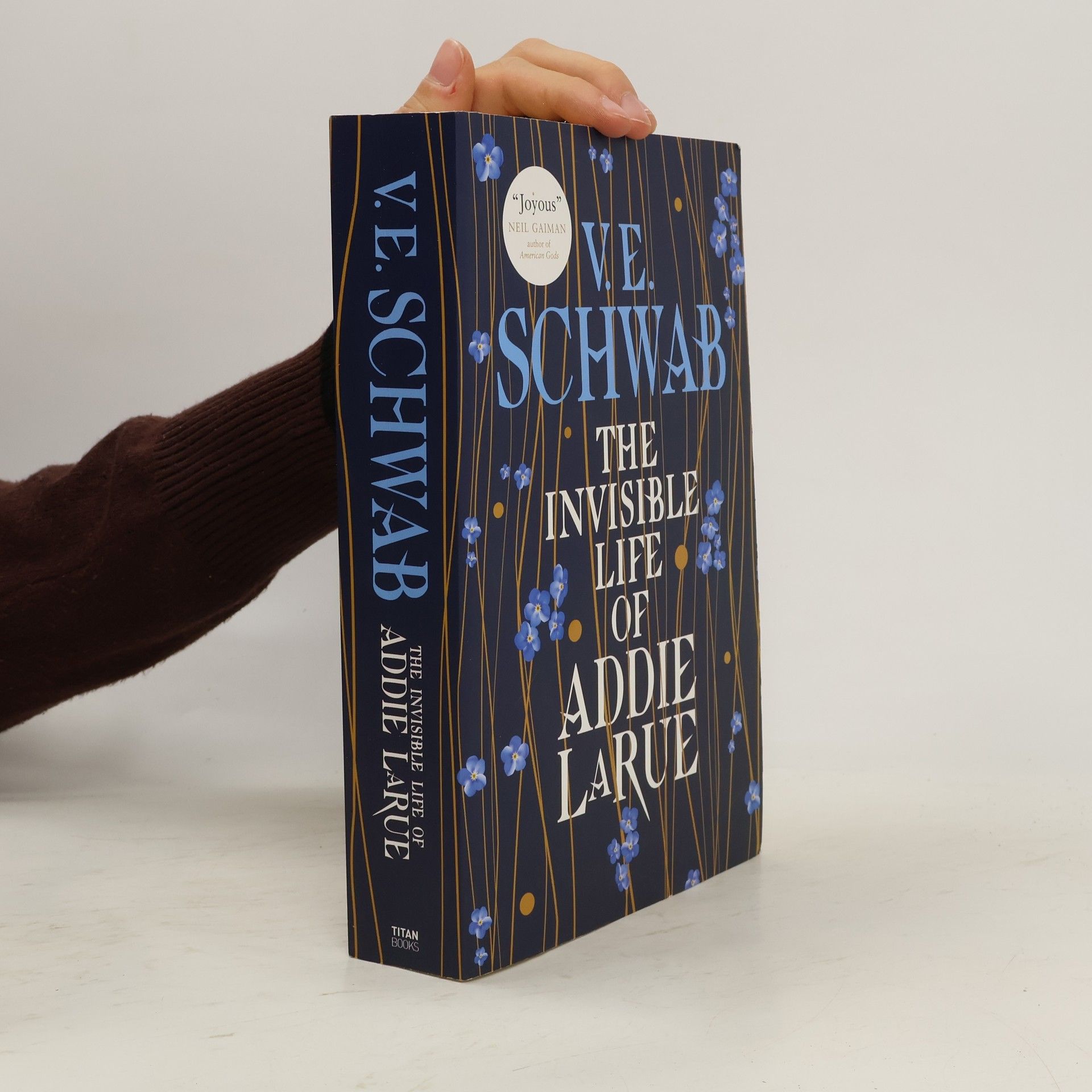 Victoria Schwab The Invisible Life of Addie Larue