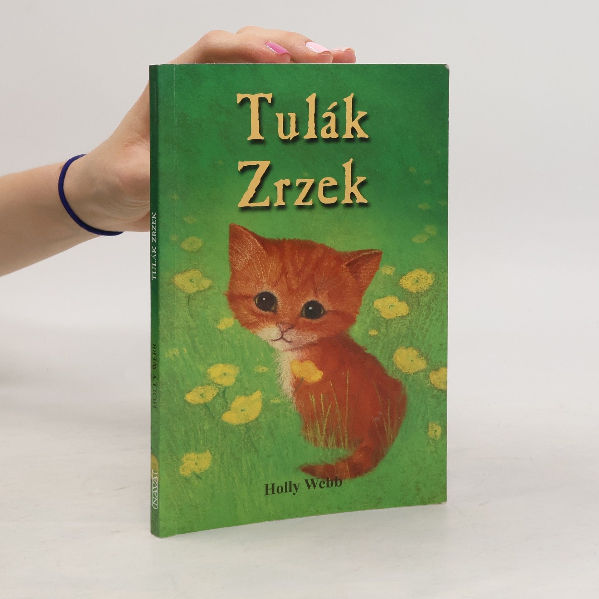 Holly Webb Tulák Zrzek