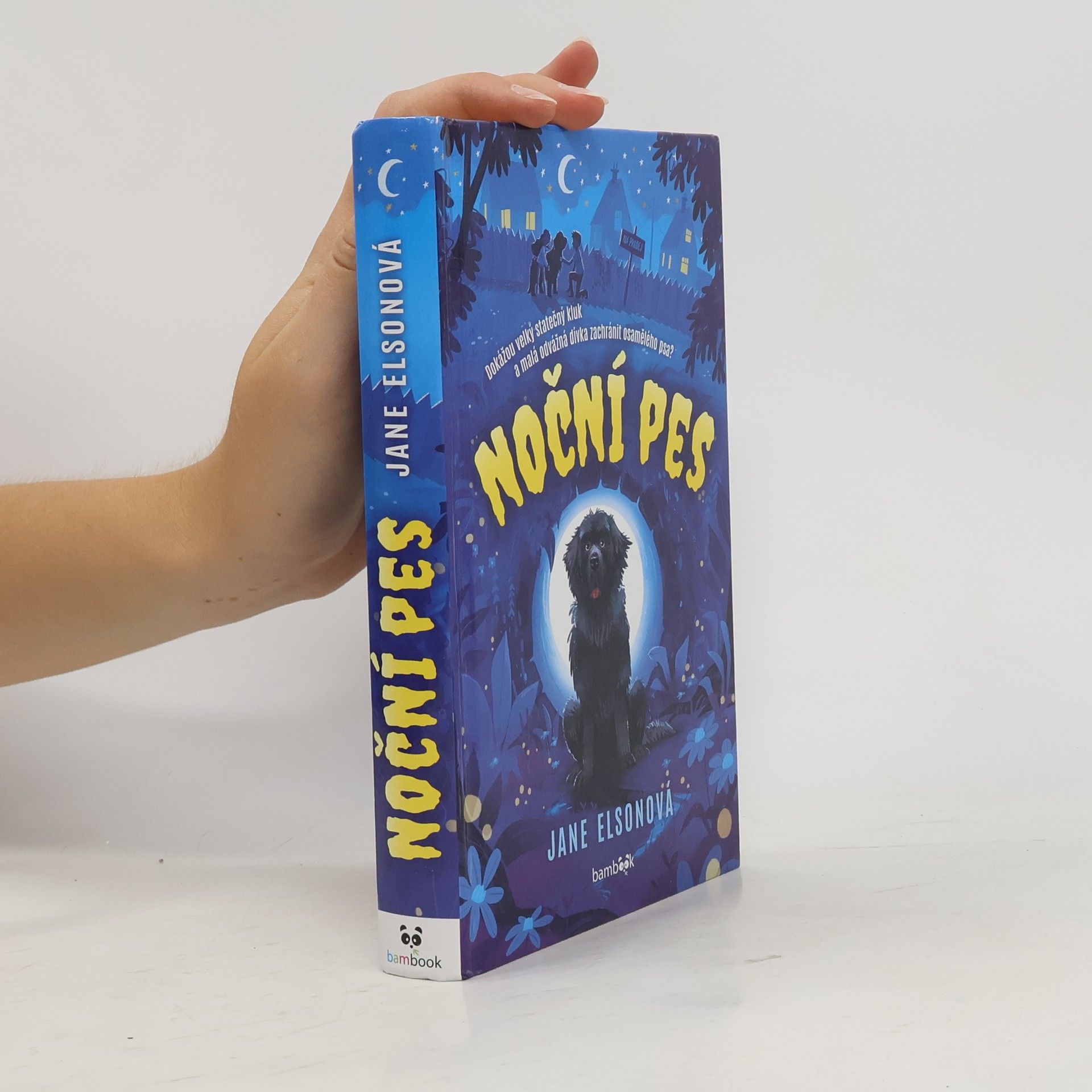 Jane Elson Noční pes