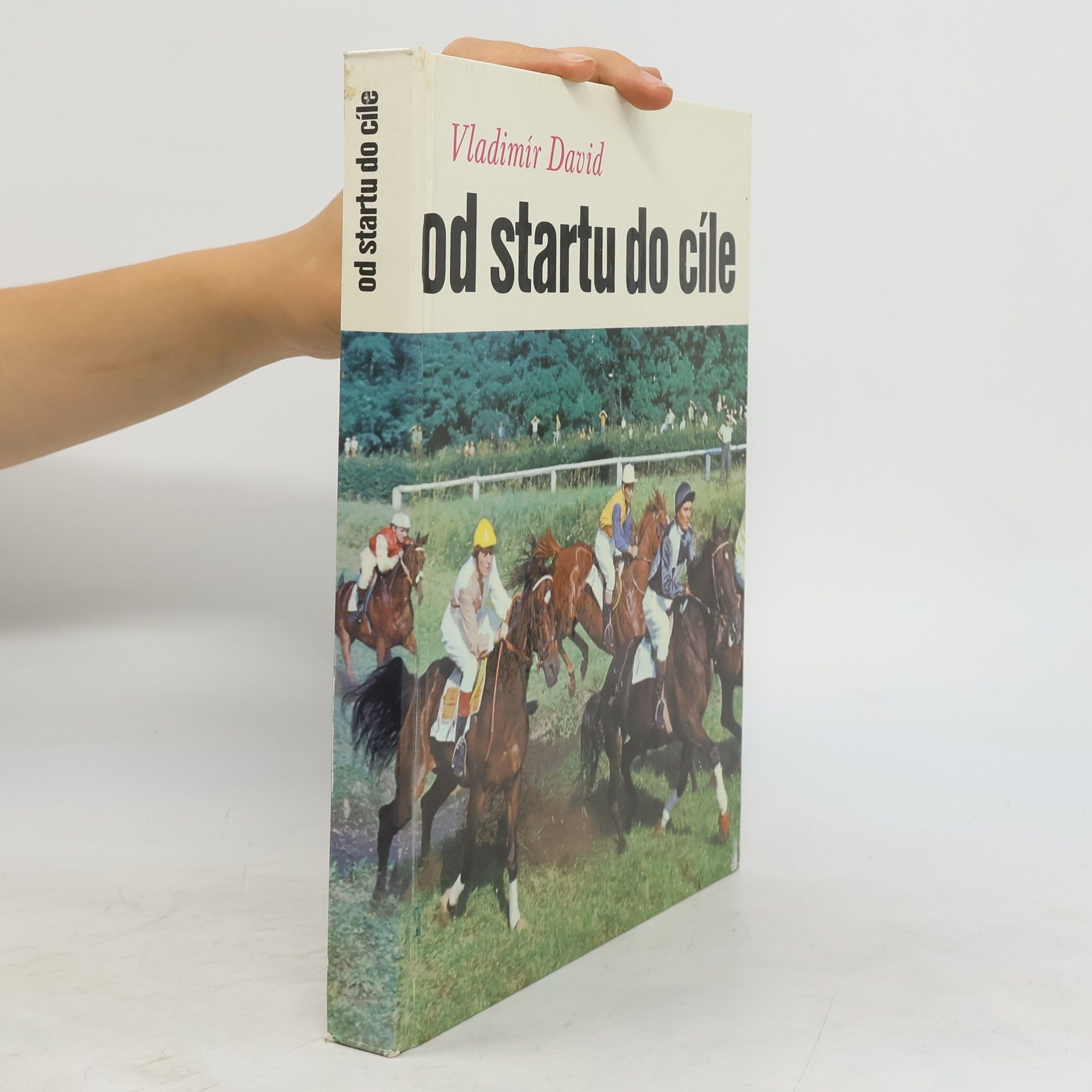 Vladimír David Od startu do cíle