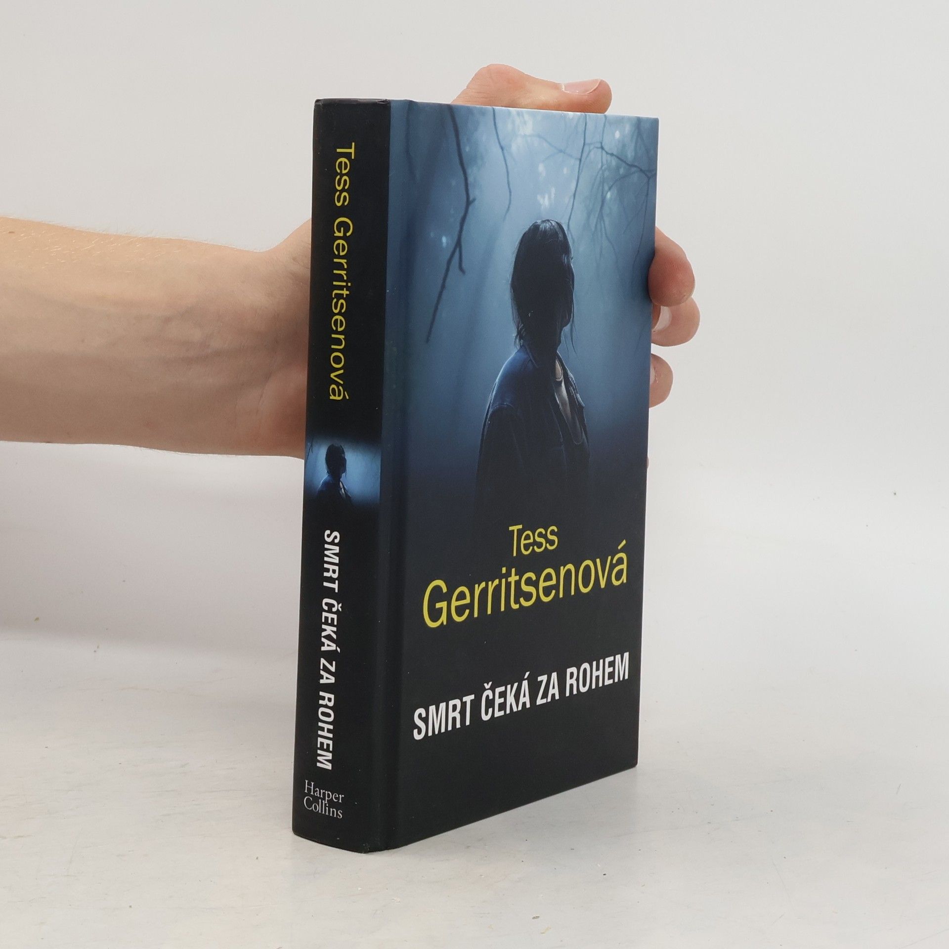 Tess Gerritsen Smrt čeká za rohem