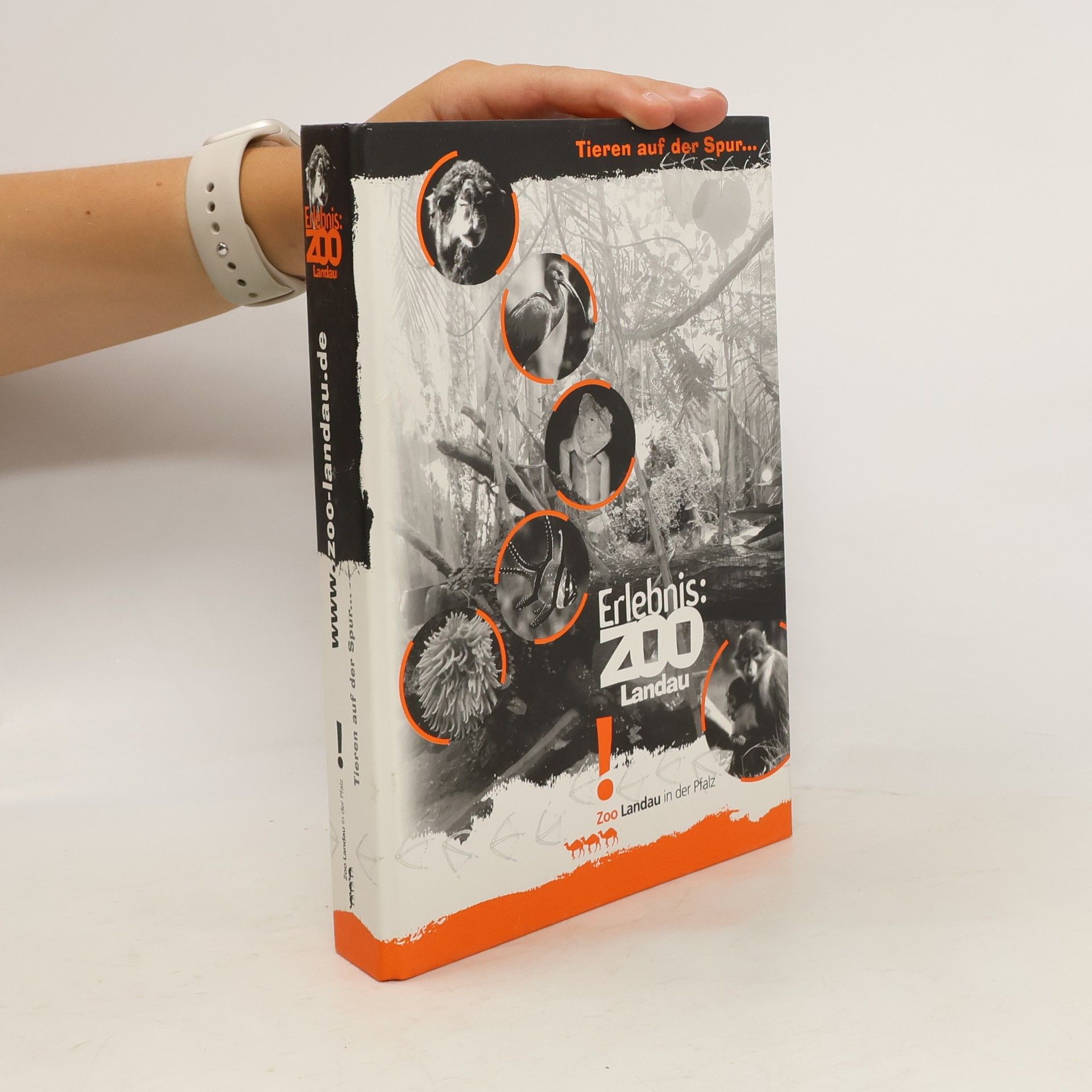 Collectif d'auteurs Erlebnis: Zoo Landau!