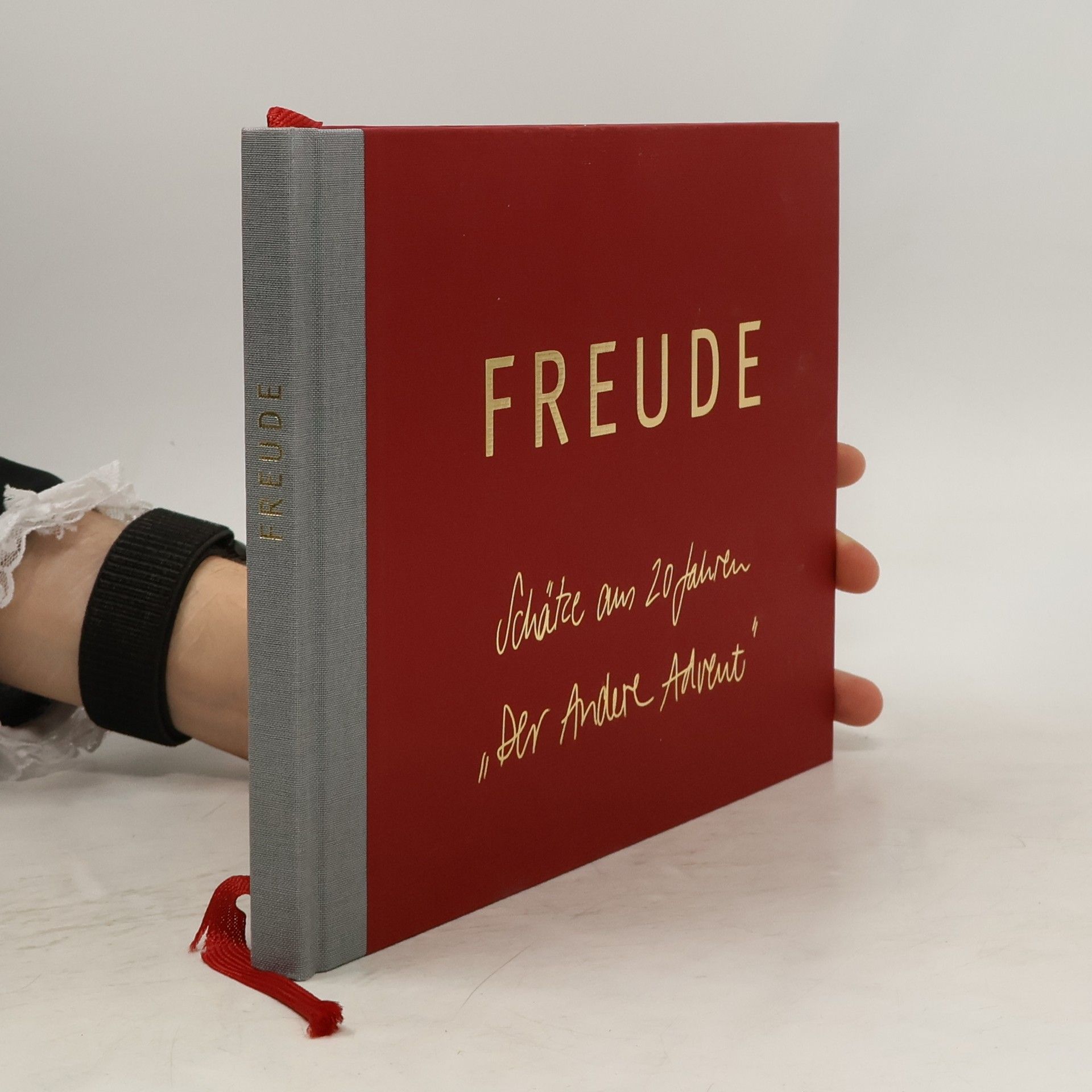 Kolektiv autorů Freude Schätze ans 20 Jahren "Der Andere Advent"