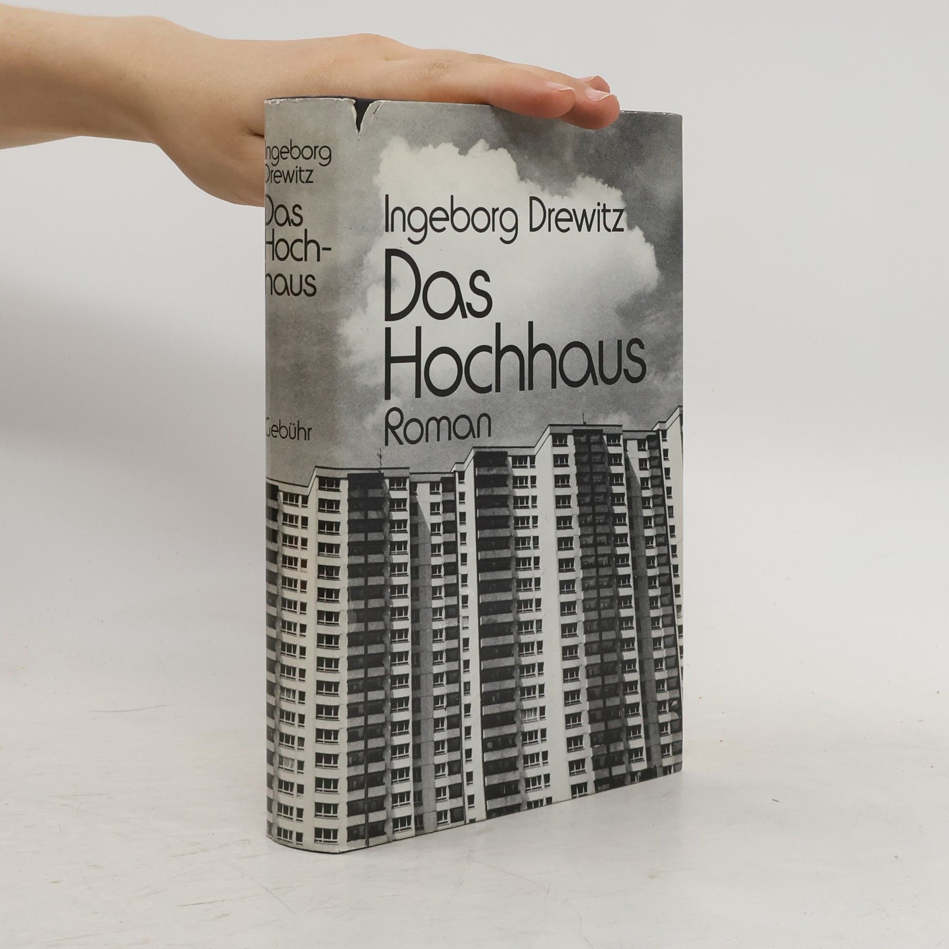 Ingeborg Drewitz Das Hochhaus