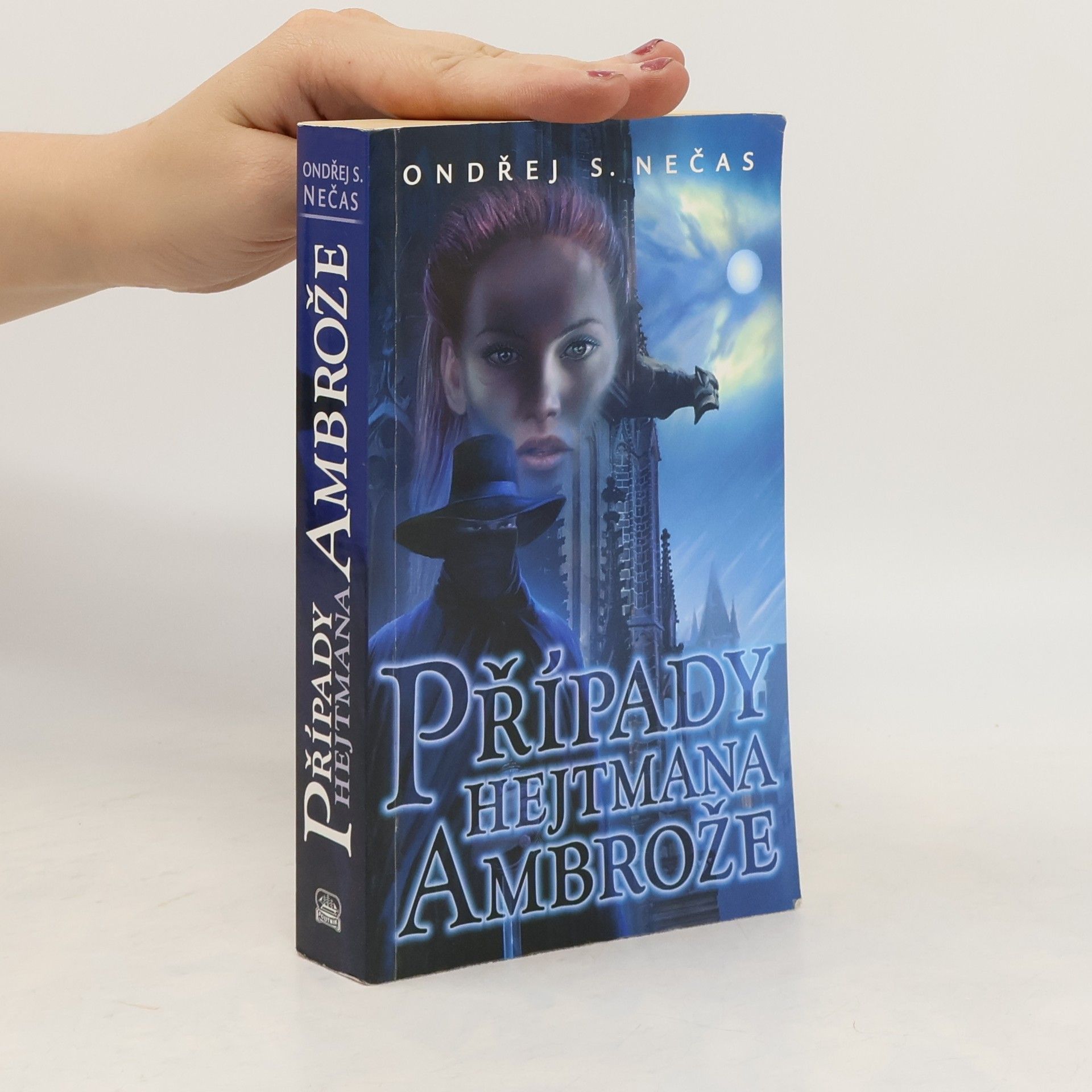 Ondřej Nečas Případy hejtmana Ambrože
