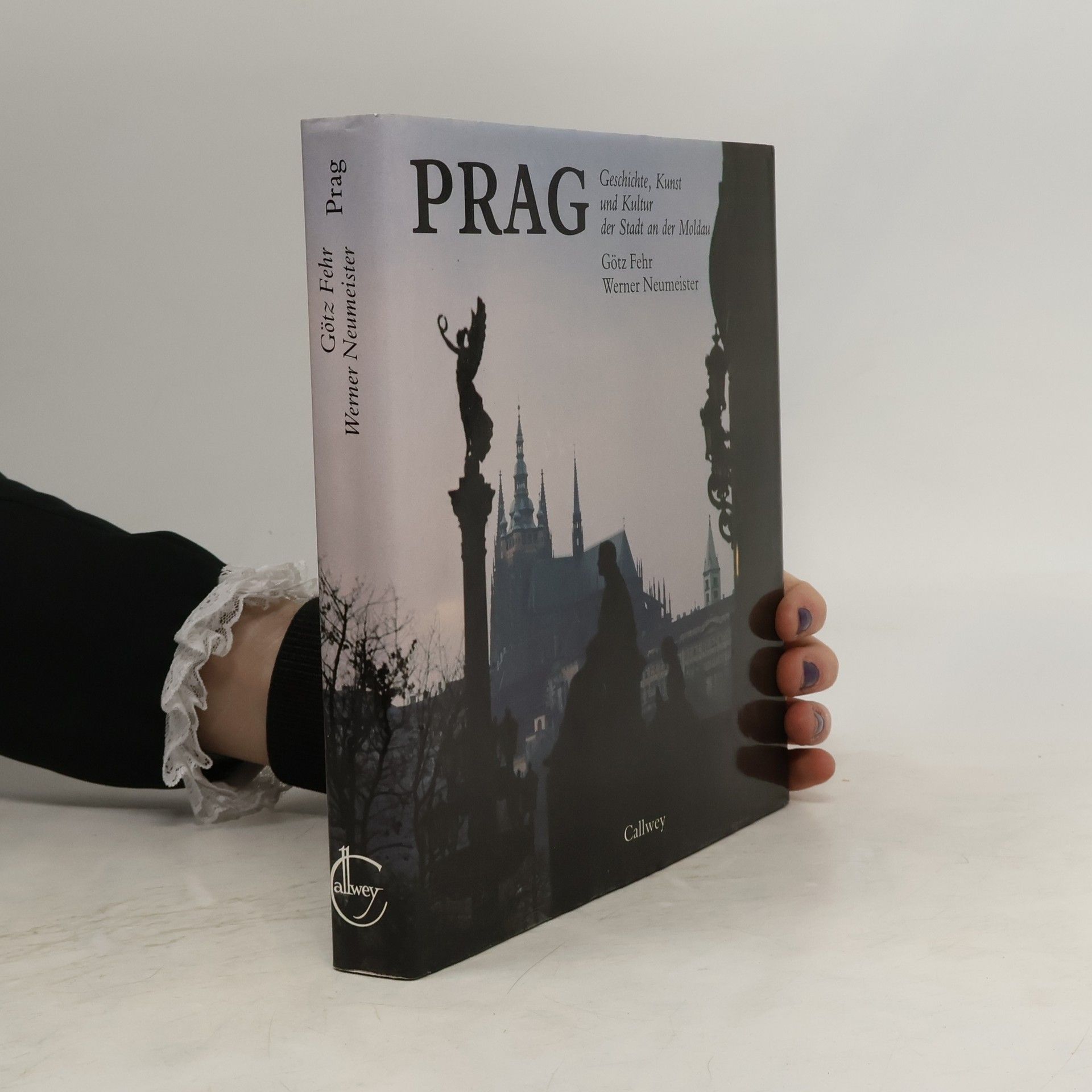 Götz Fehr Prag, Stadt an der Moldau