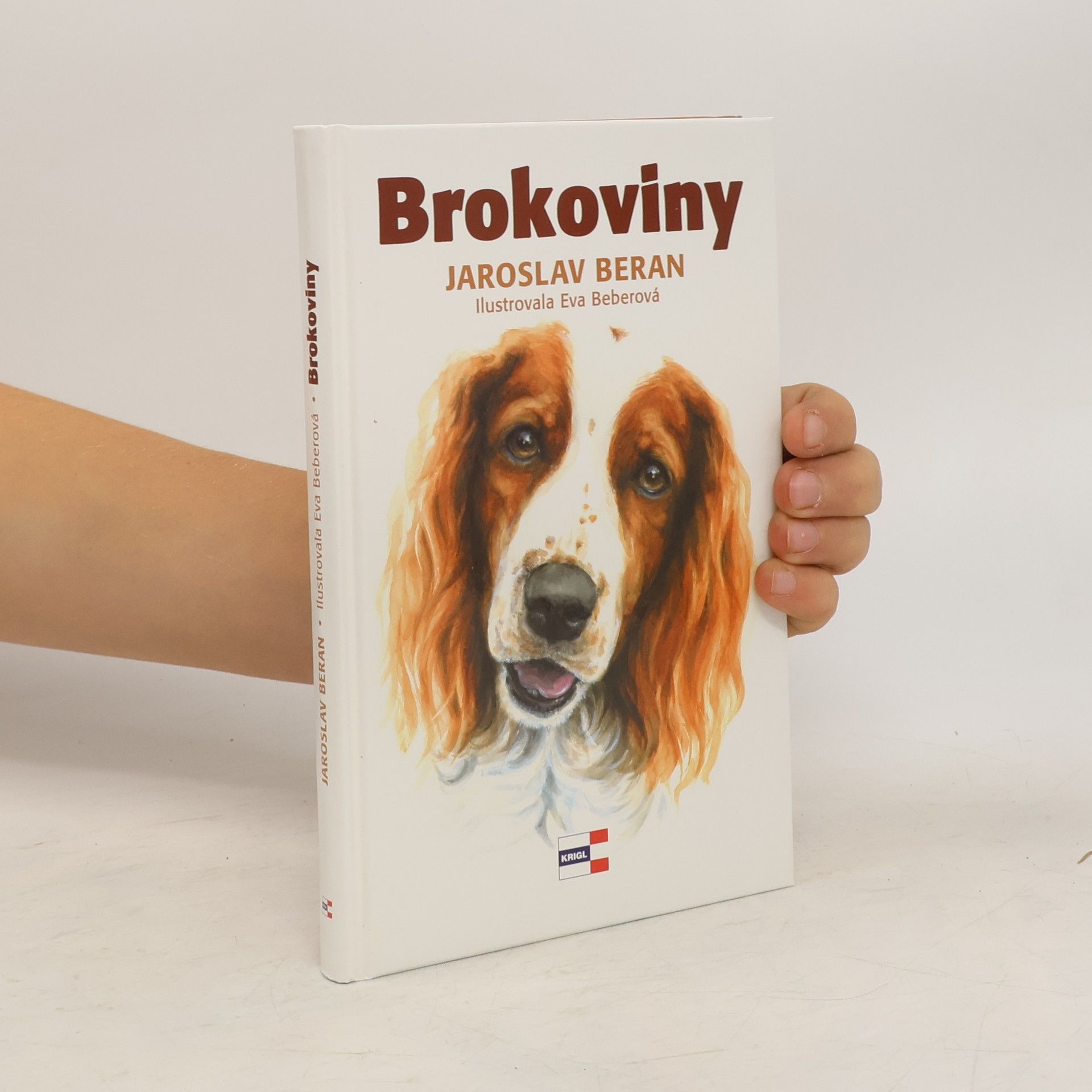 Jaroslav Beran Brokoviny