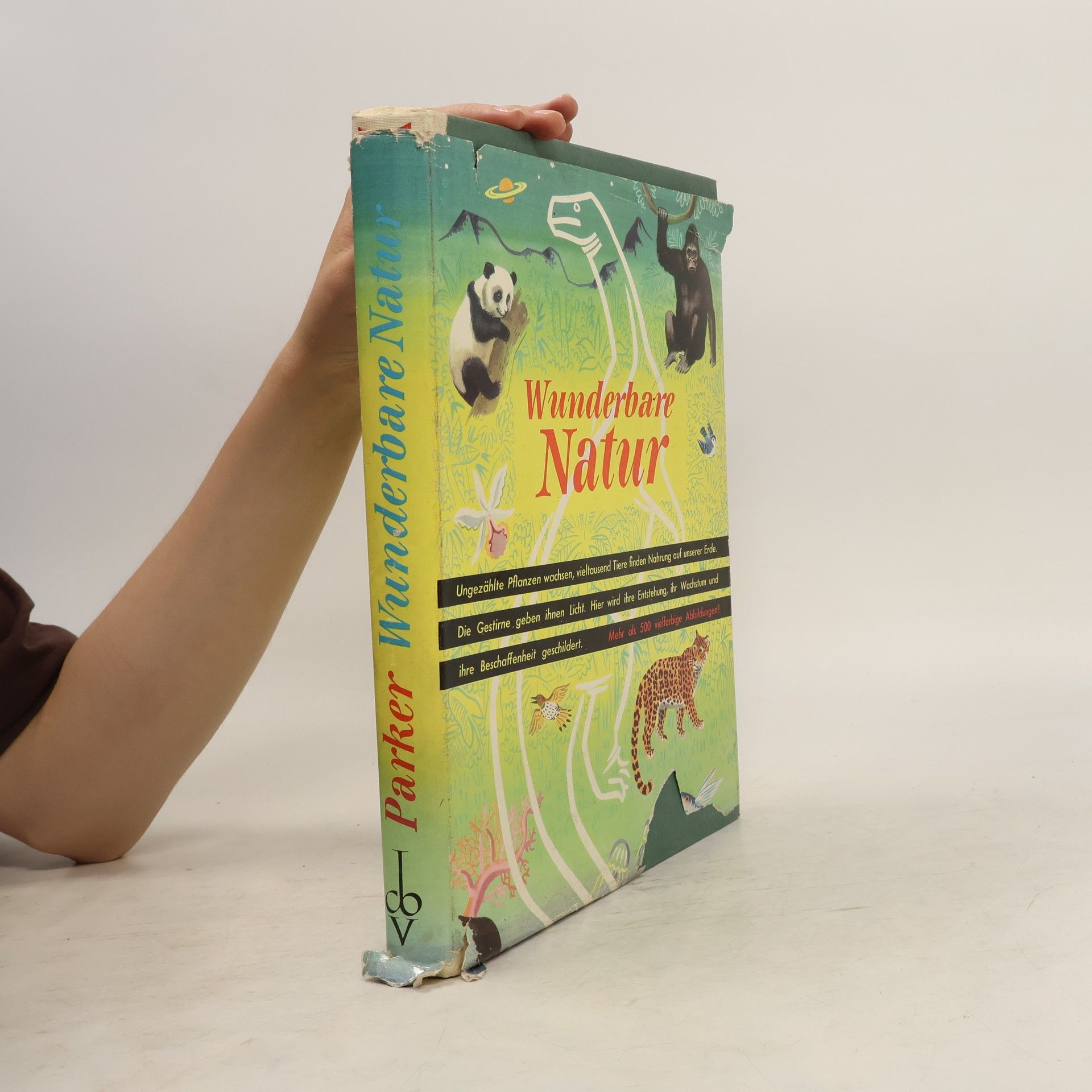 Collectif d'auteurs Wunderbare Natur