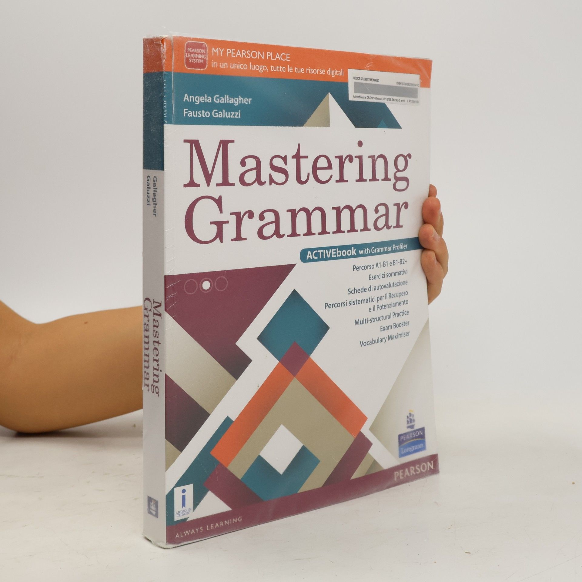 Angela Gallagher Mastering Grammar