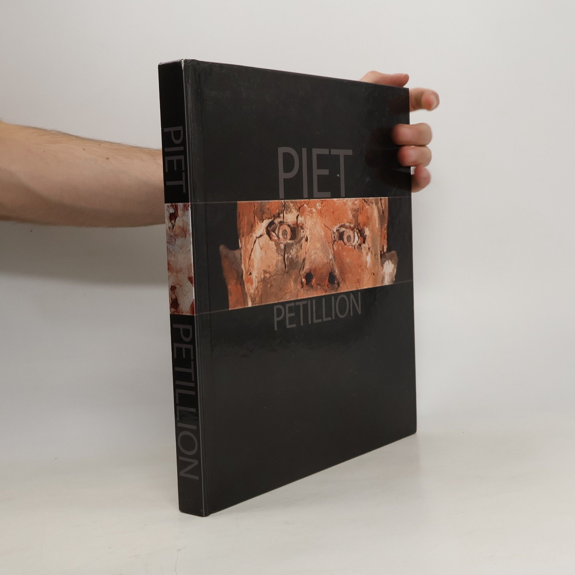 Autorenkollektiv Piet Petillion