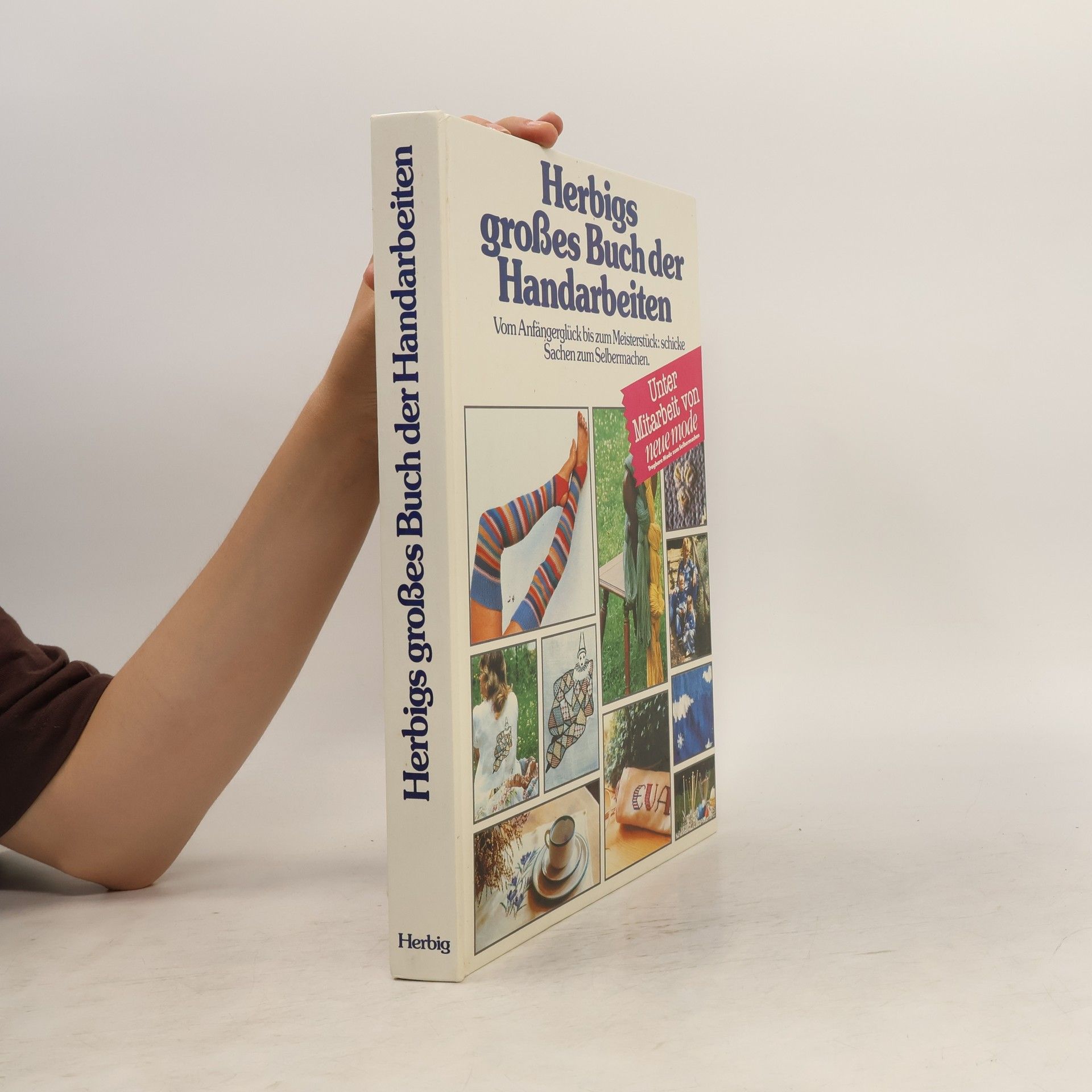 Barbara de Bernardinis Herbigs grosses Buch der Handarbeiten