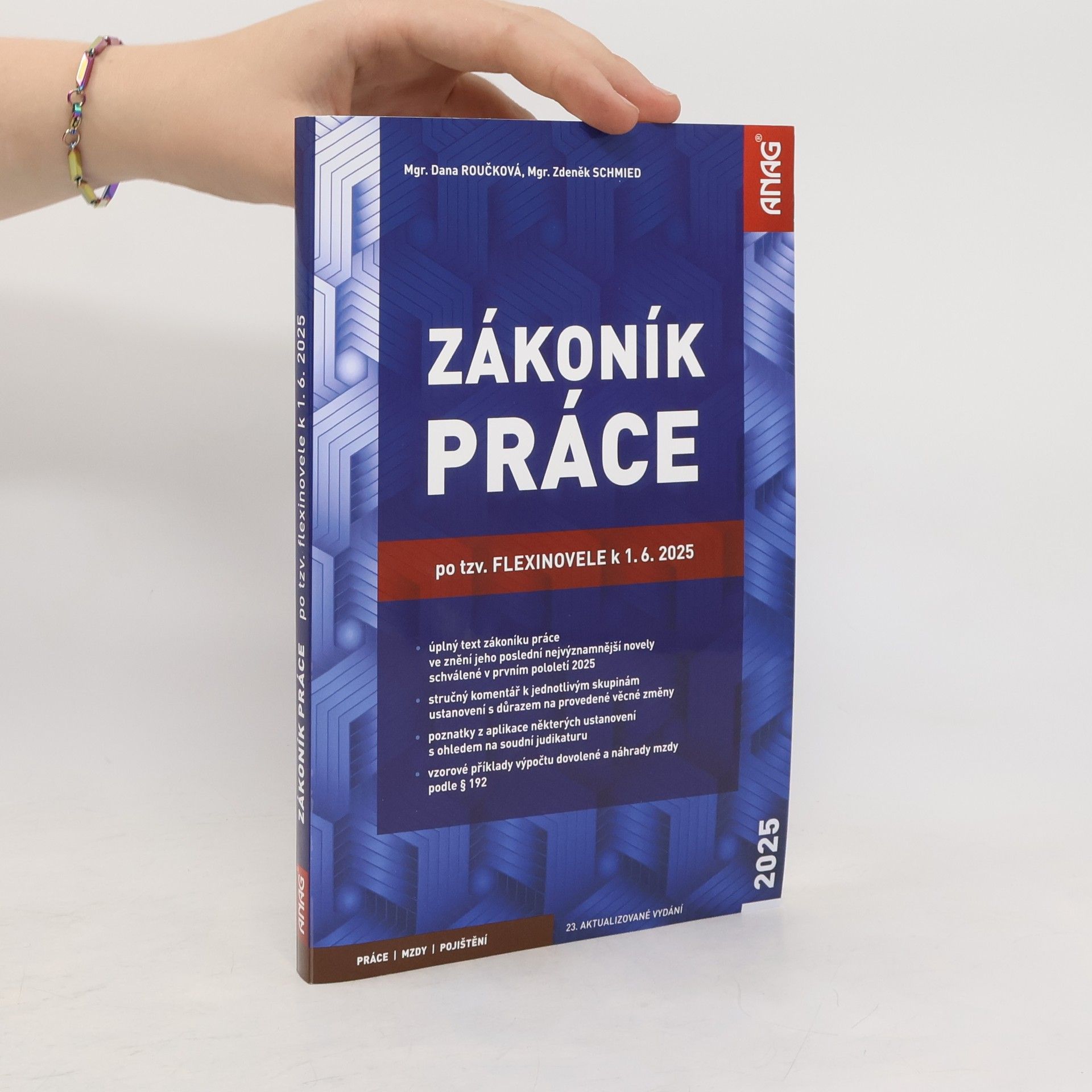Dana Roučková Zákoník práce : po tzv. flexinovele k 1.6.2025