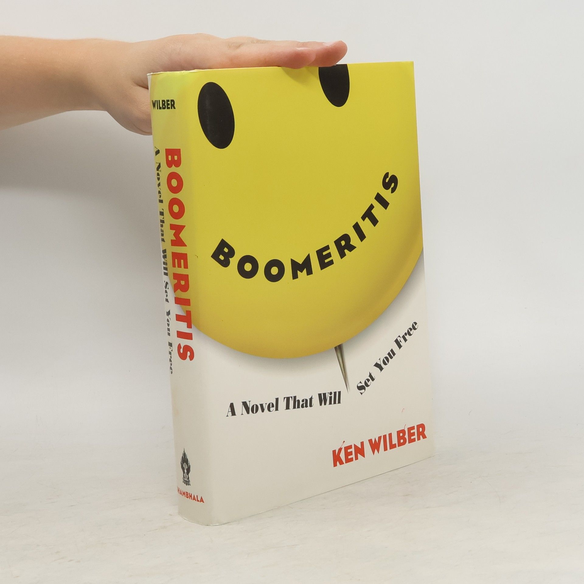 Ken Wilber Boomeritis
