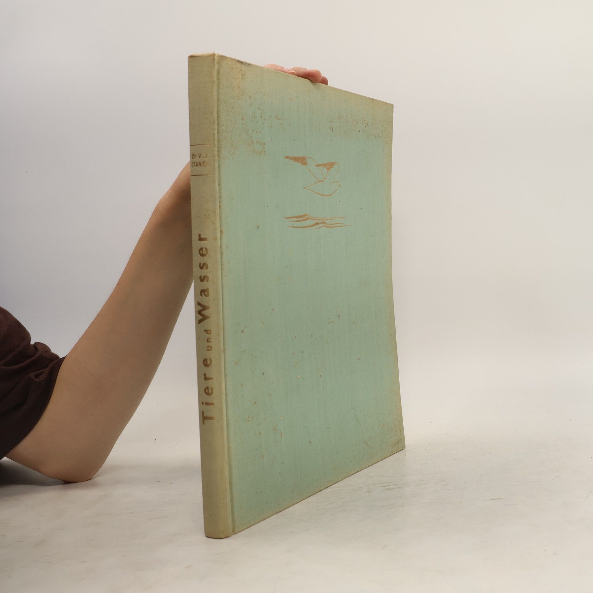 Václav Jan Staněk Tiere und Wasser