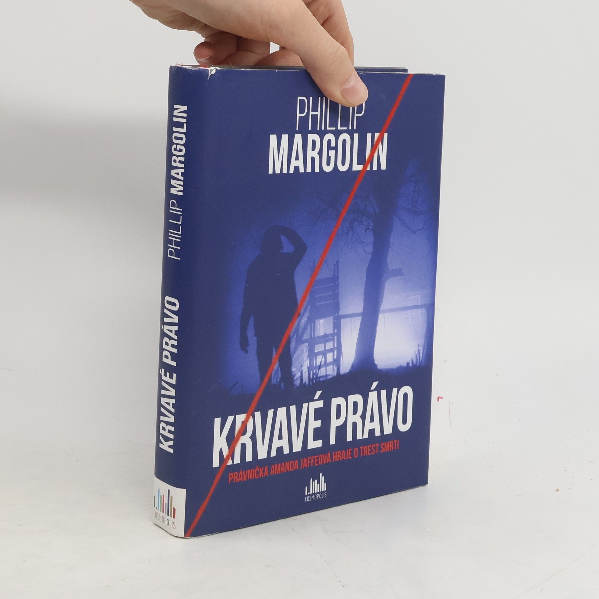 Phillip Margolin Krvavé právo. Právnička Amanda Jaffeová hraje o trest smrti