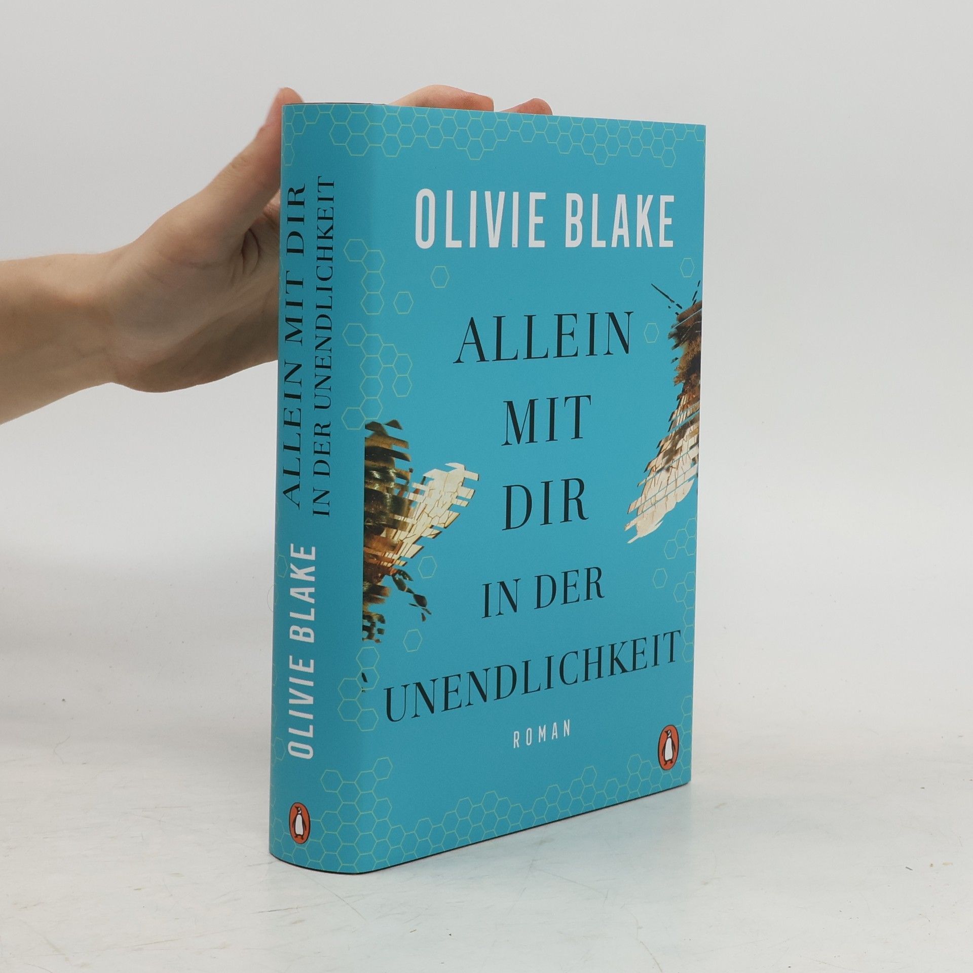 Olivie Blake Allein mit dir in der Unendlichkeit