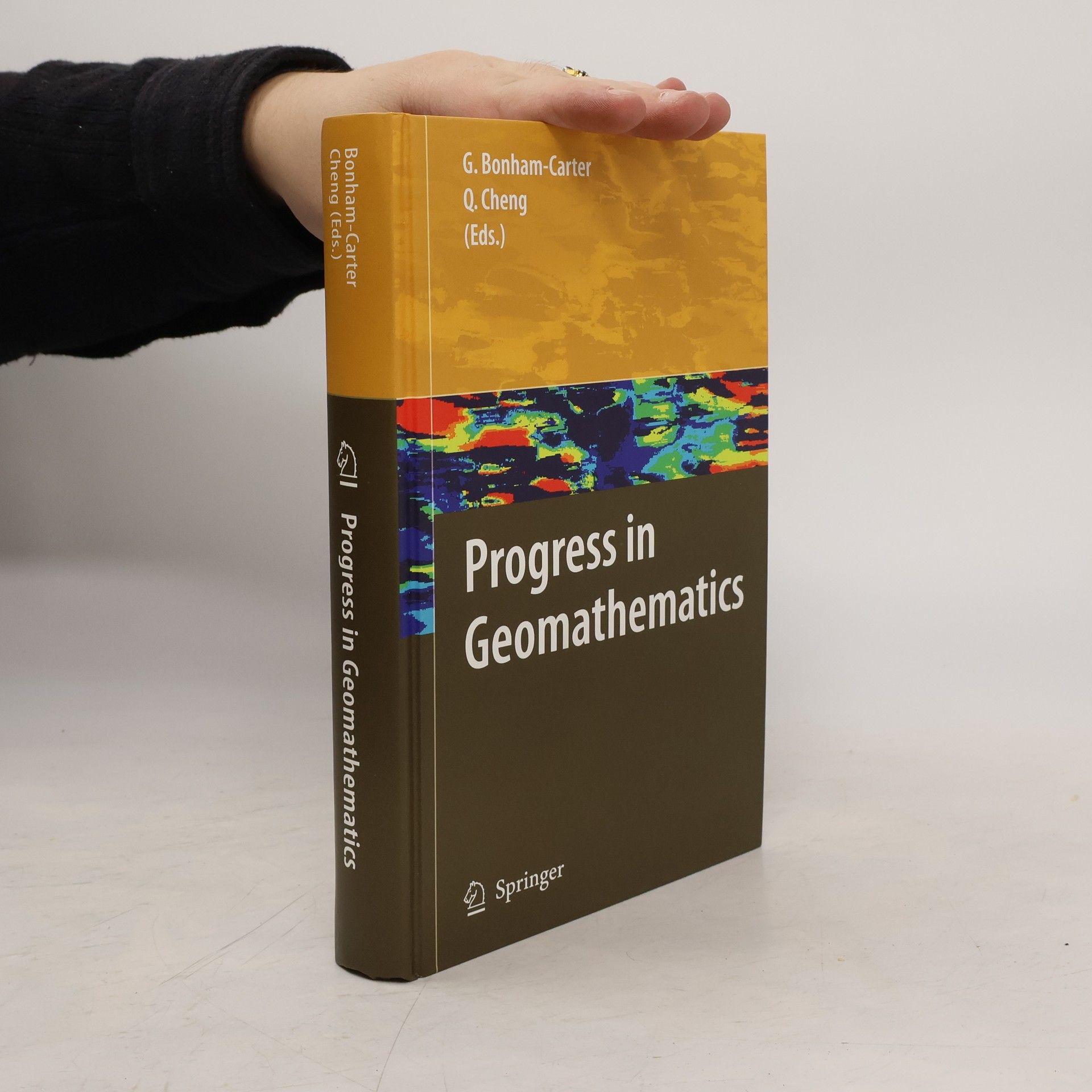 Graeme Bonham-Carter Progress in geomathematics