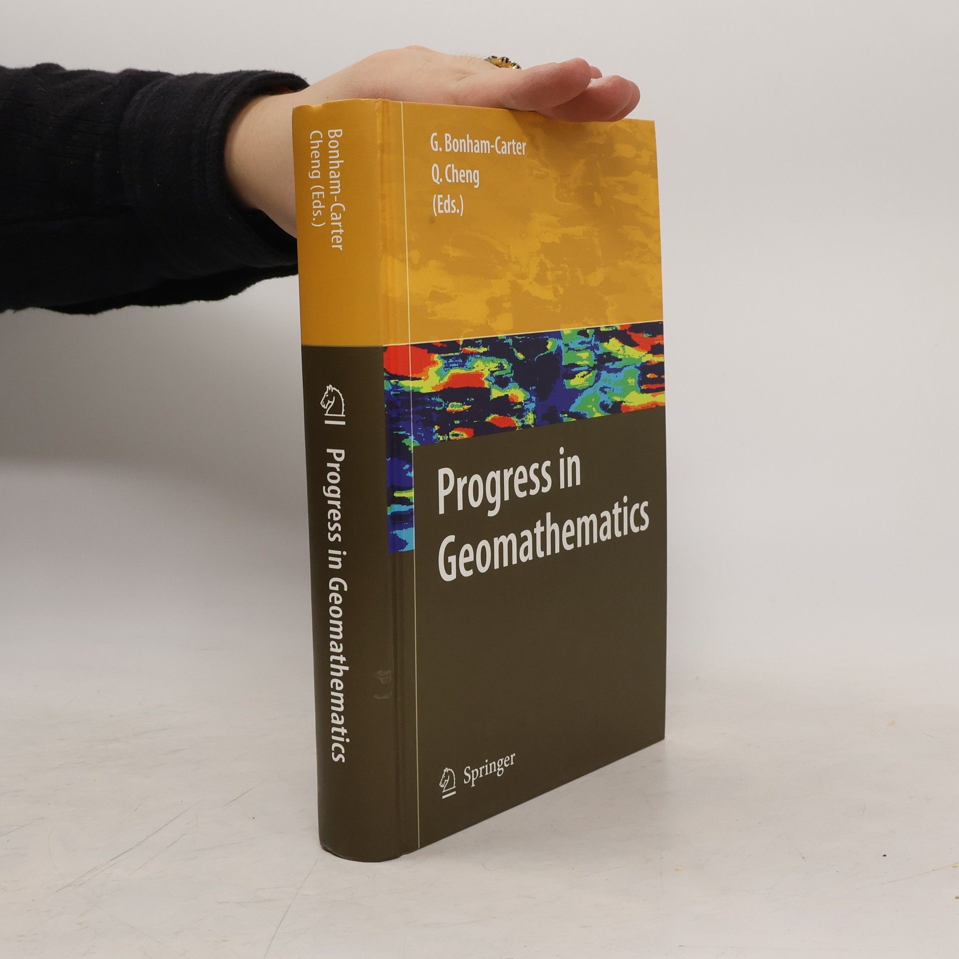 Graeme Bonham-Carter Progress in geomathematics