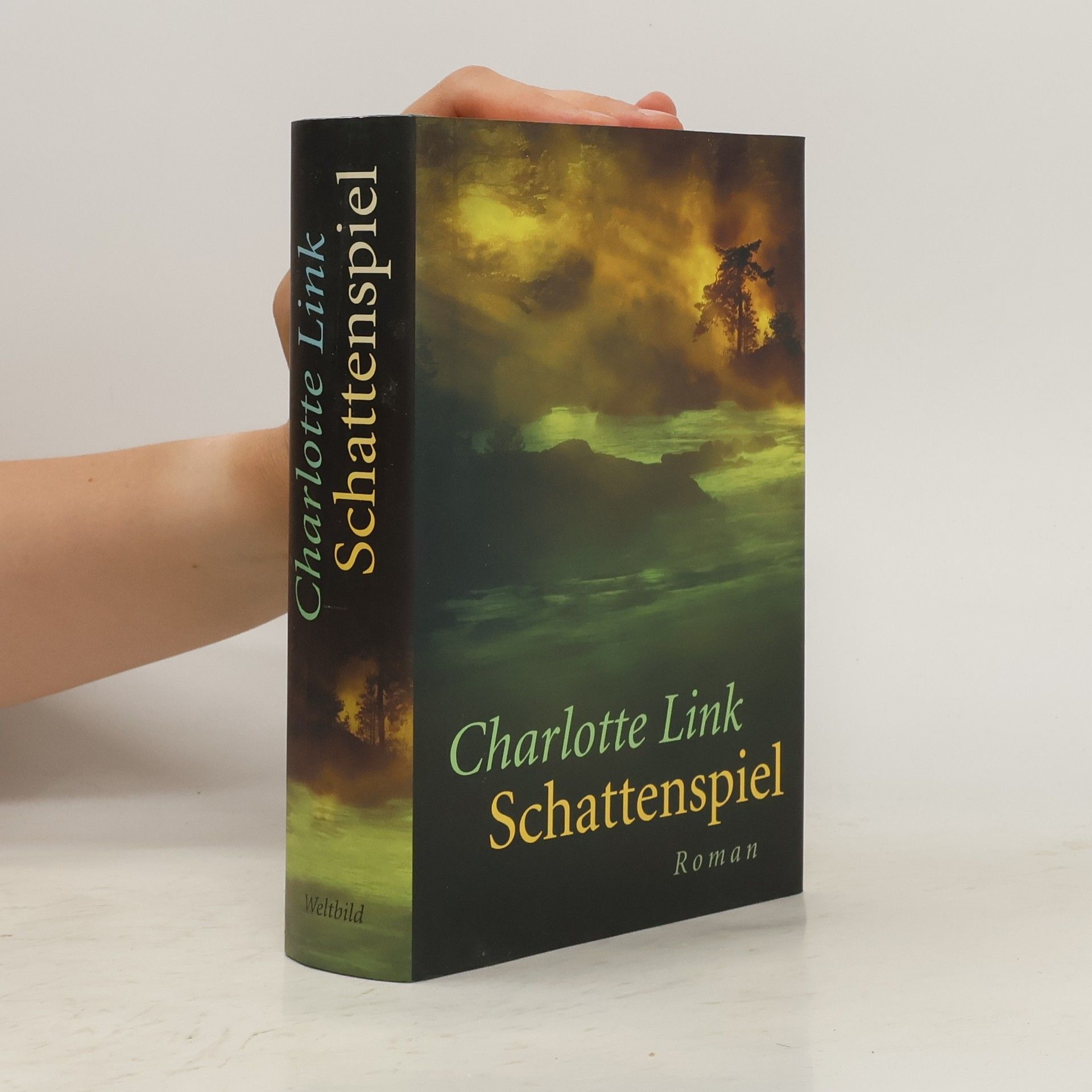 Charlotte Link Schattenspiel