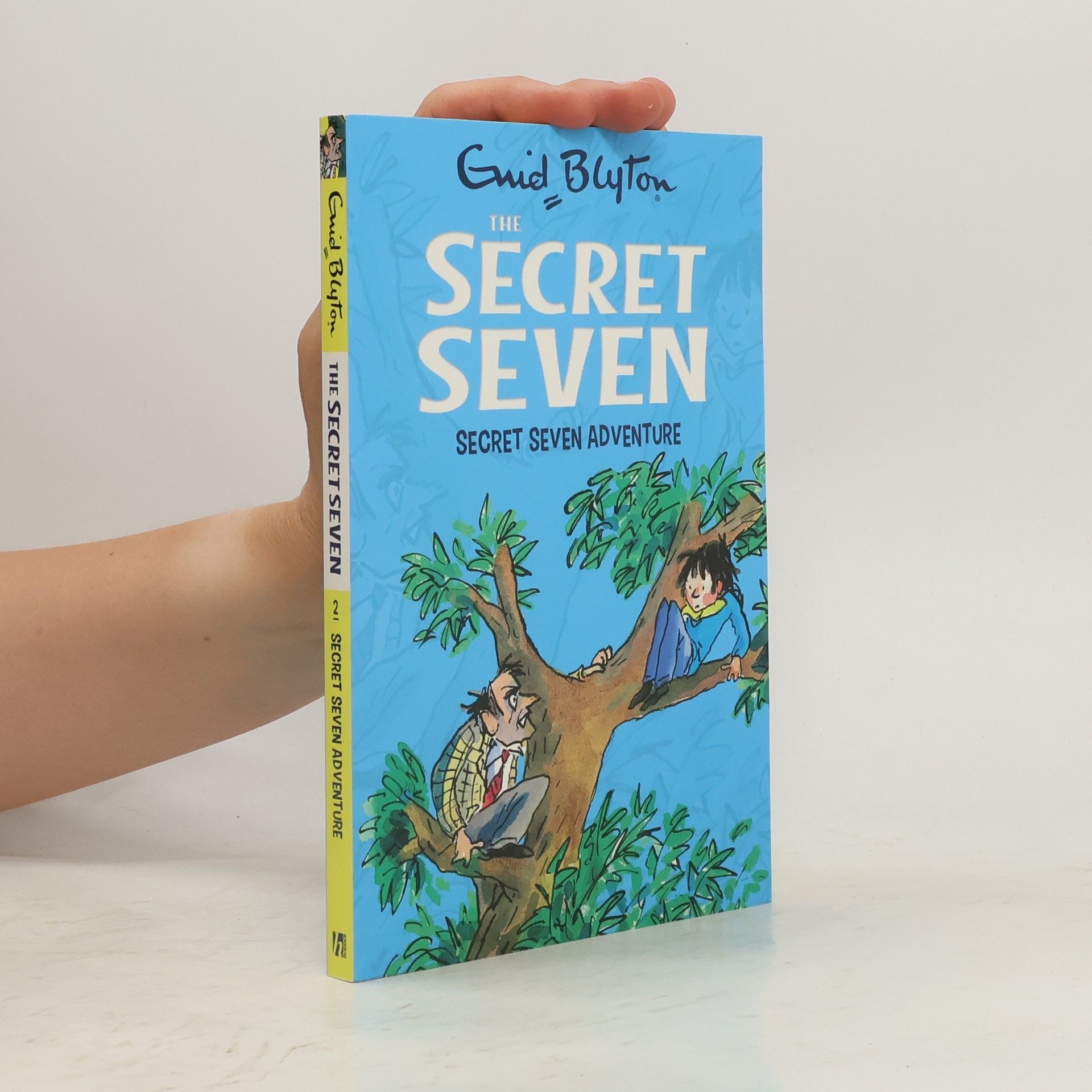 Enid Blyton Secret Seven: Secret Seven Adventure