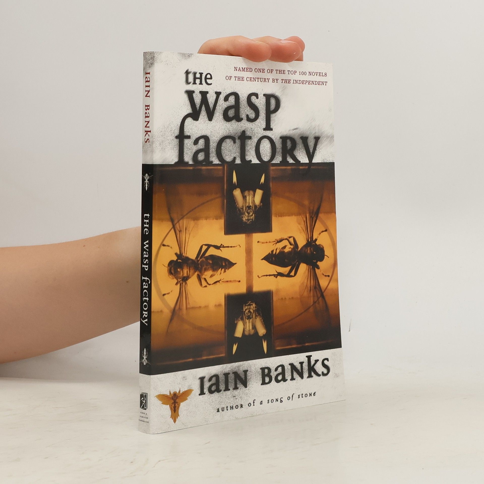 Iain Banks The Wasp Factory